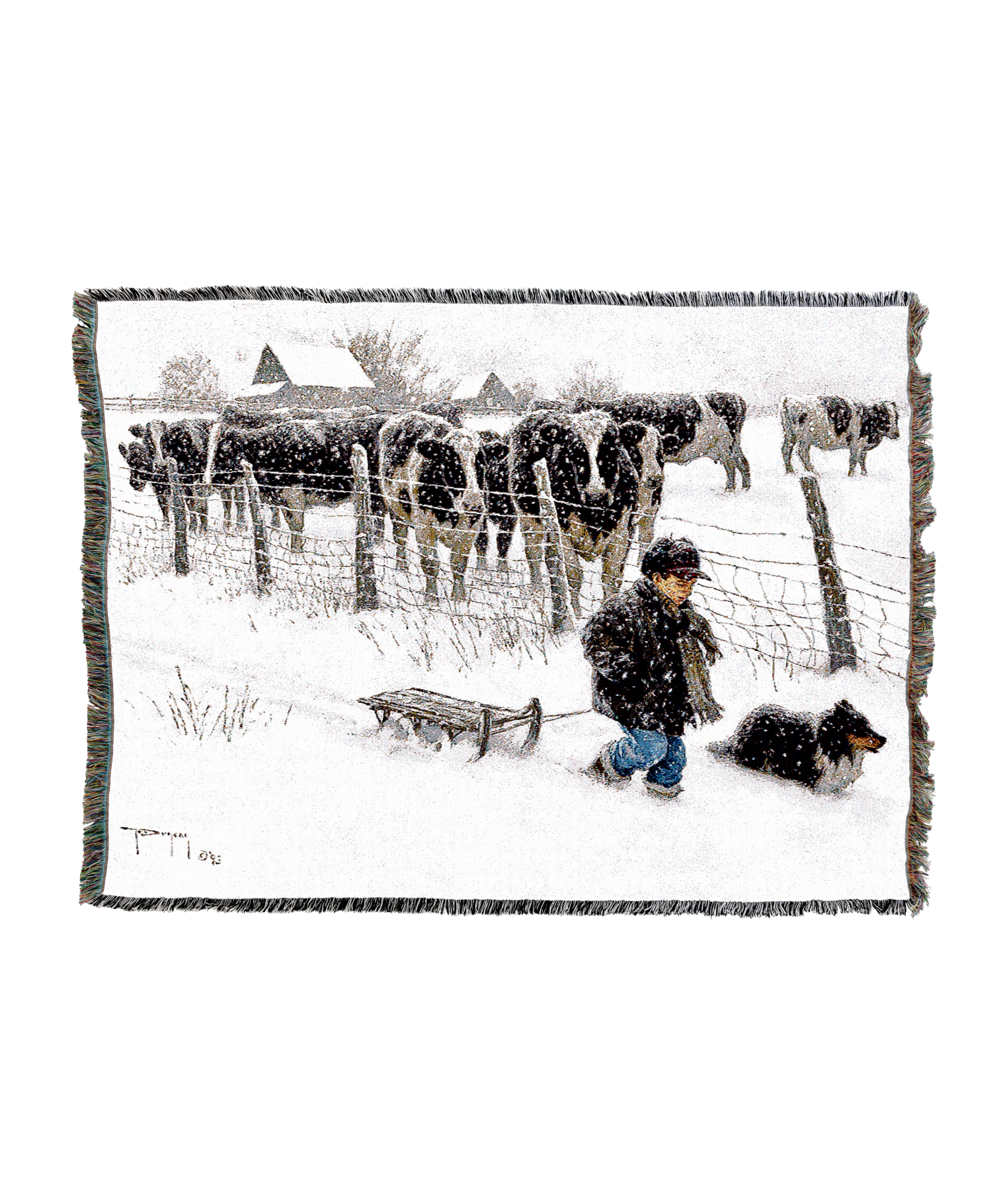 Curious Onlookers Cows Blanket