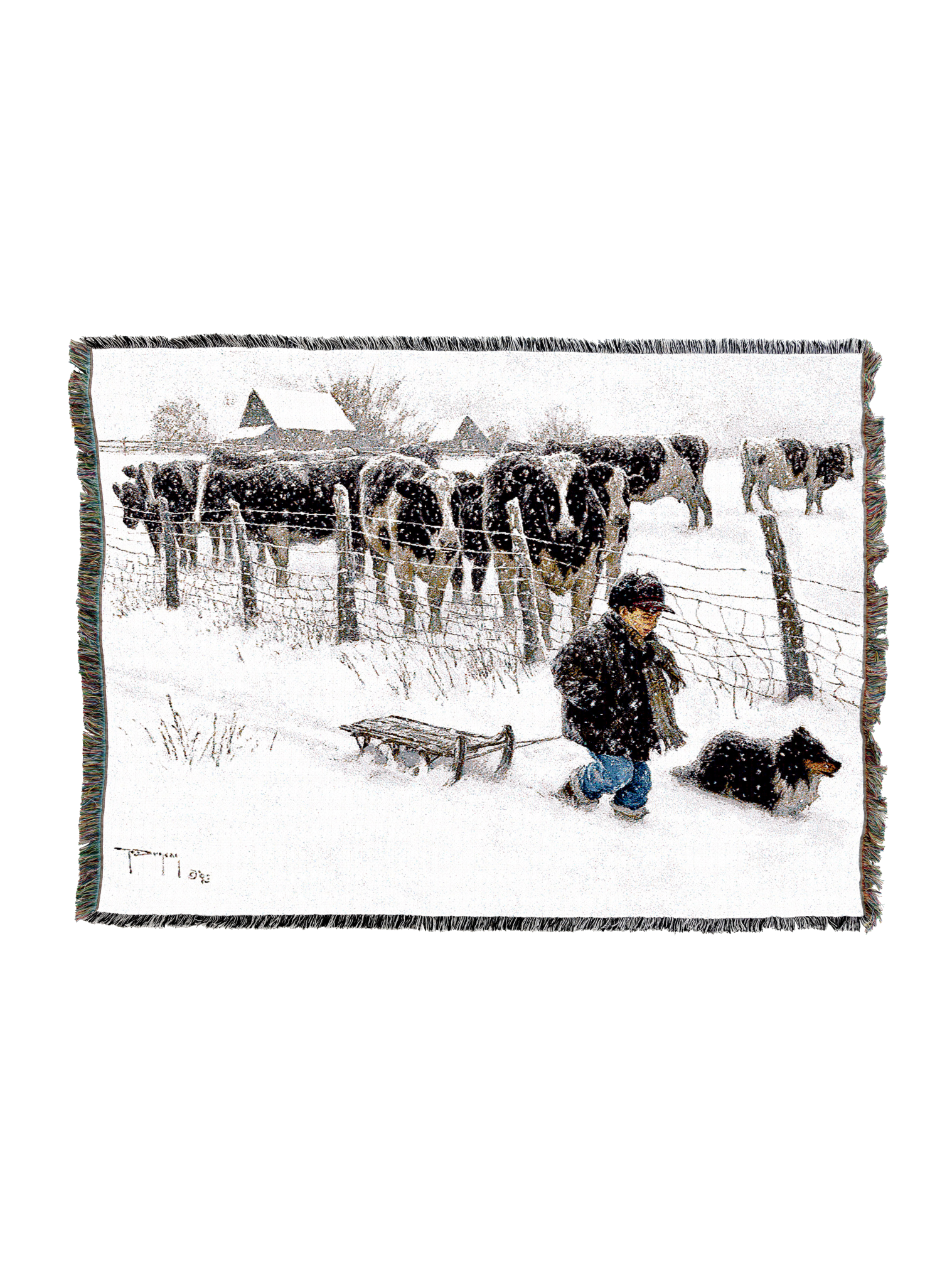 Curious Onlookers Cows Blanket