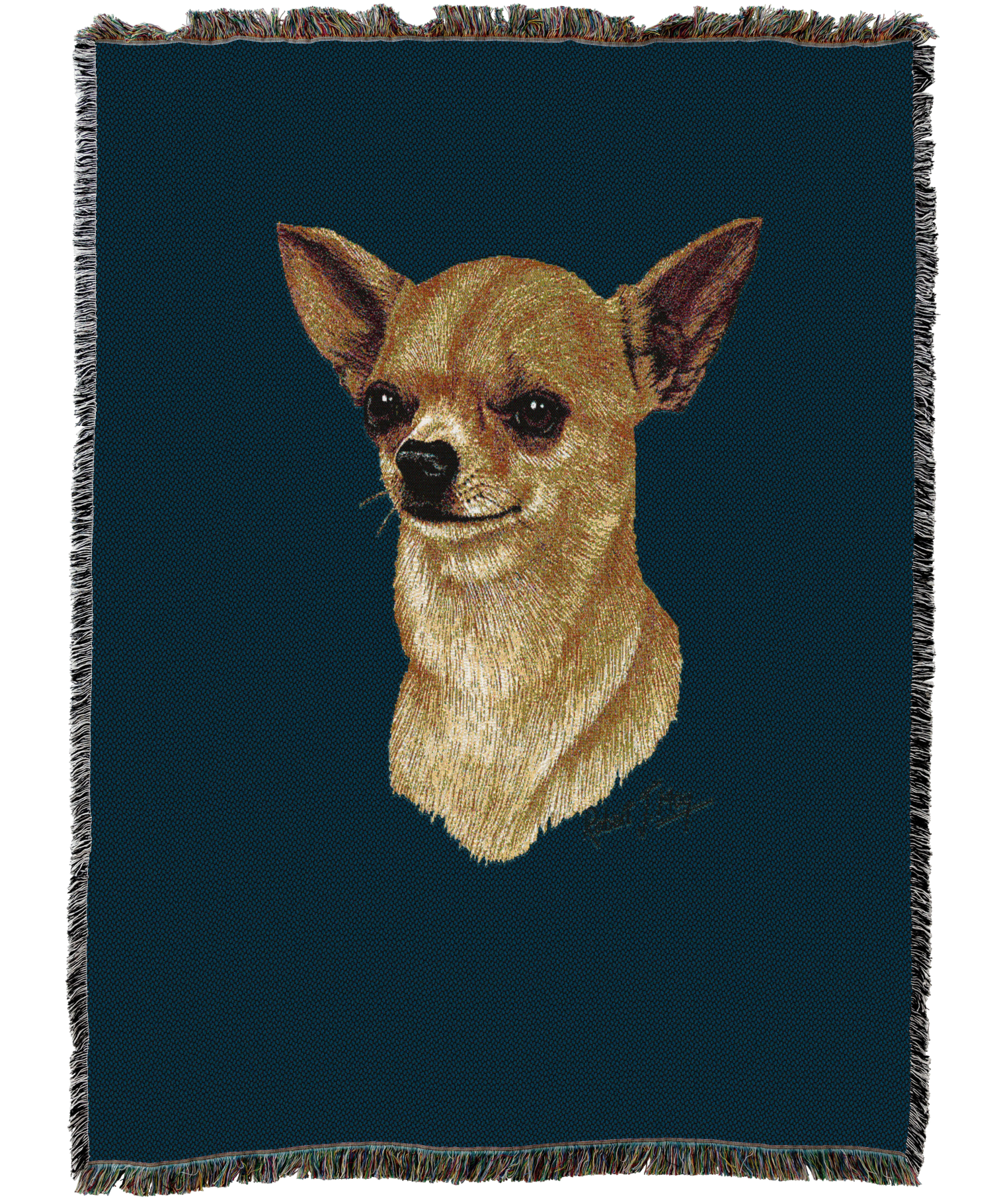 2358C-T.png
