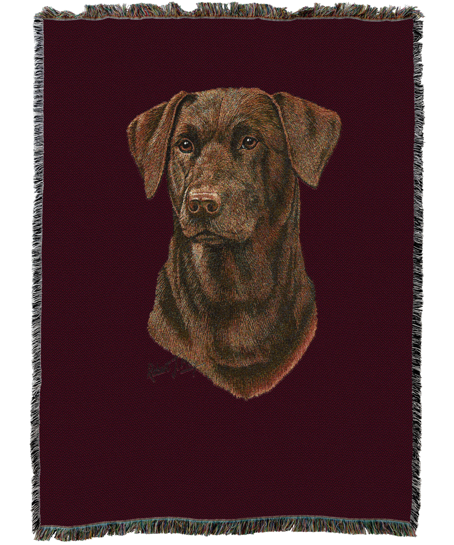 Labrador Retriever Chocolate 2 Blanket