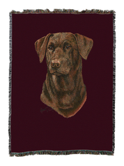 Labrador Retriever Chocolate 2 Blanket