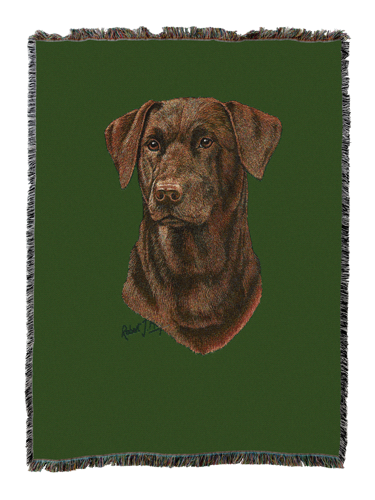 Labrador Retriever Chocolate 2 Blanket