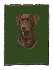 Labrador Retriever Chocolate 2 Blanket