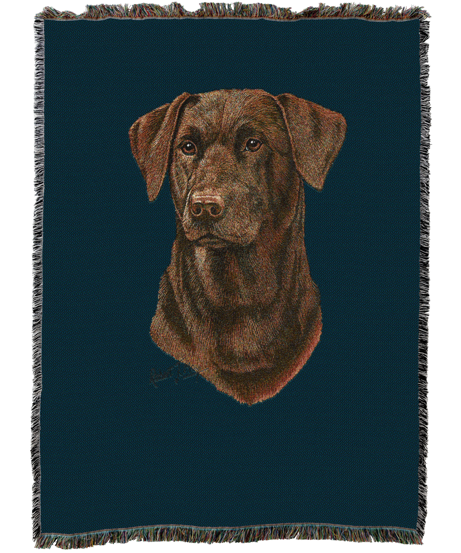 2359C-T_af816827-0af4-4713-bb4a-6c81fdcd6aef.png