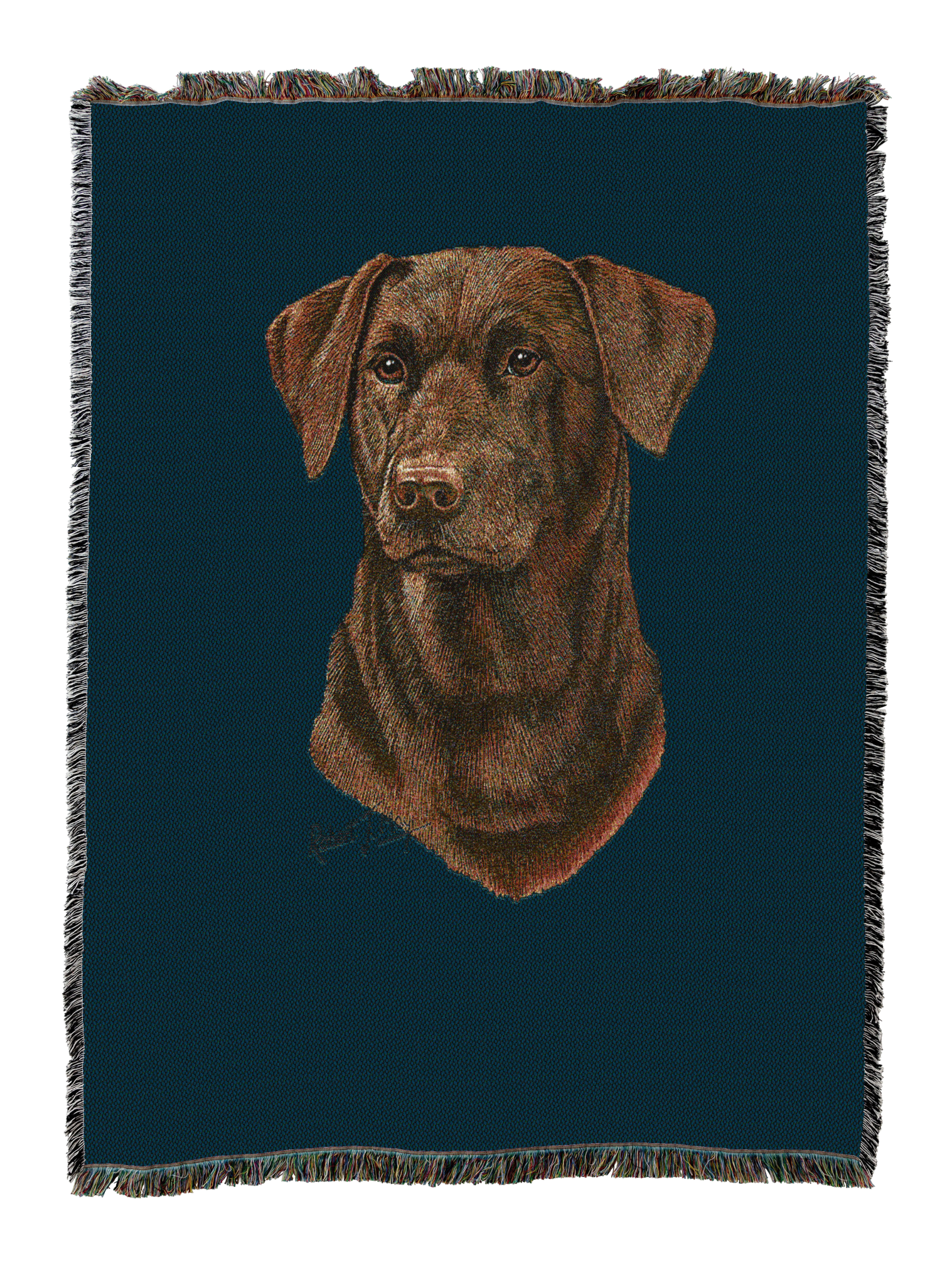 Labrador Retriever Chocolate 2 Blanket