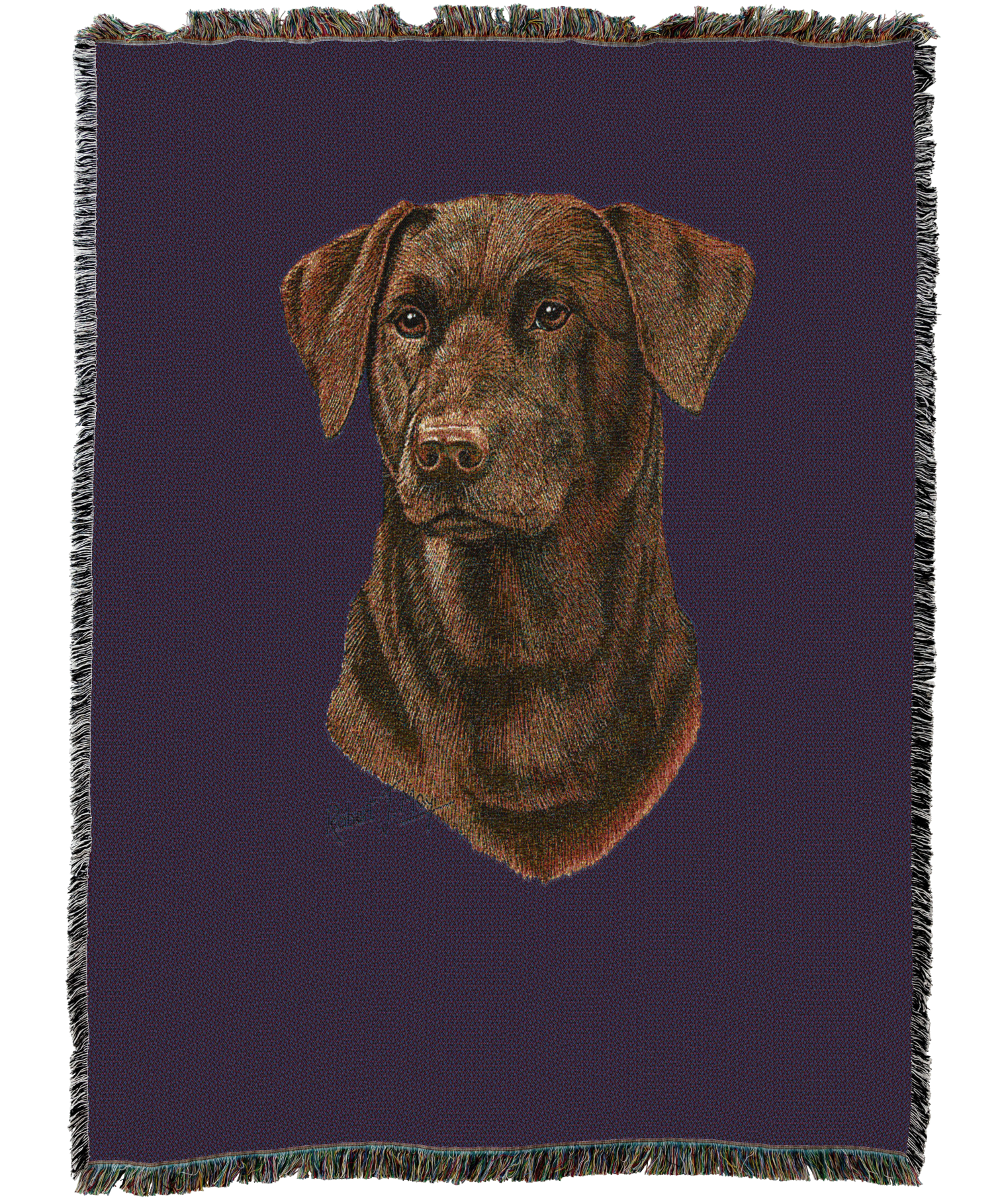 Labrador Retriever Chocolate 2 Blanket