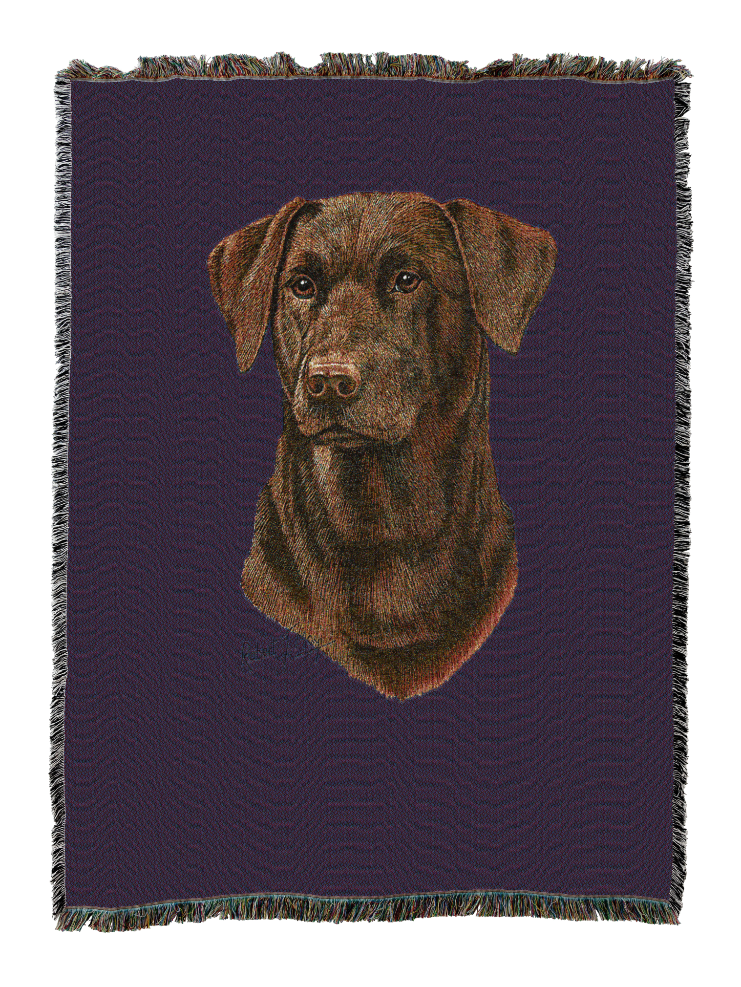 Labrador Retriever Chocolate 2 Blanket