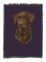 Labrador Retriever Chocolate 2 Blanket
