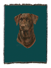 Labrador Retriever Chocolate 2 Blanket