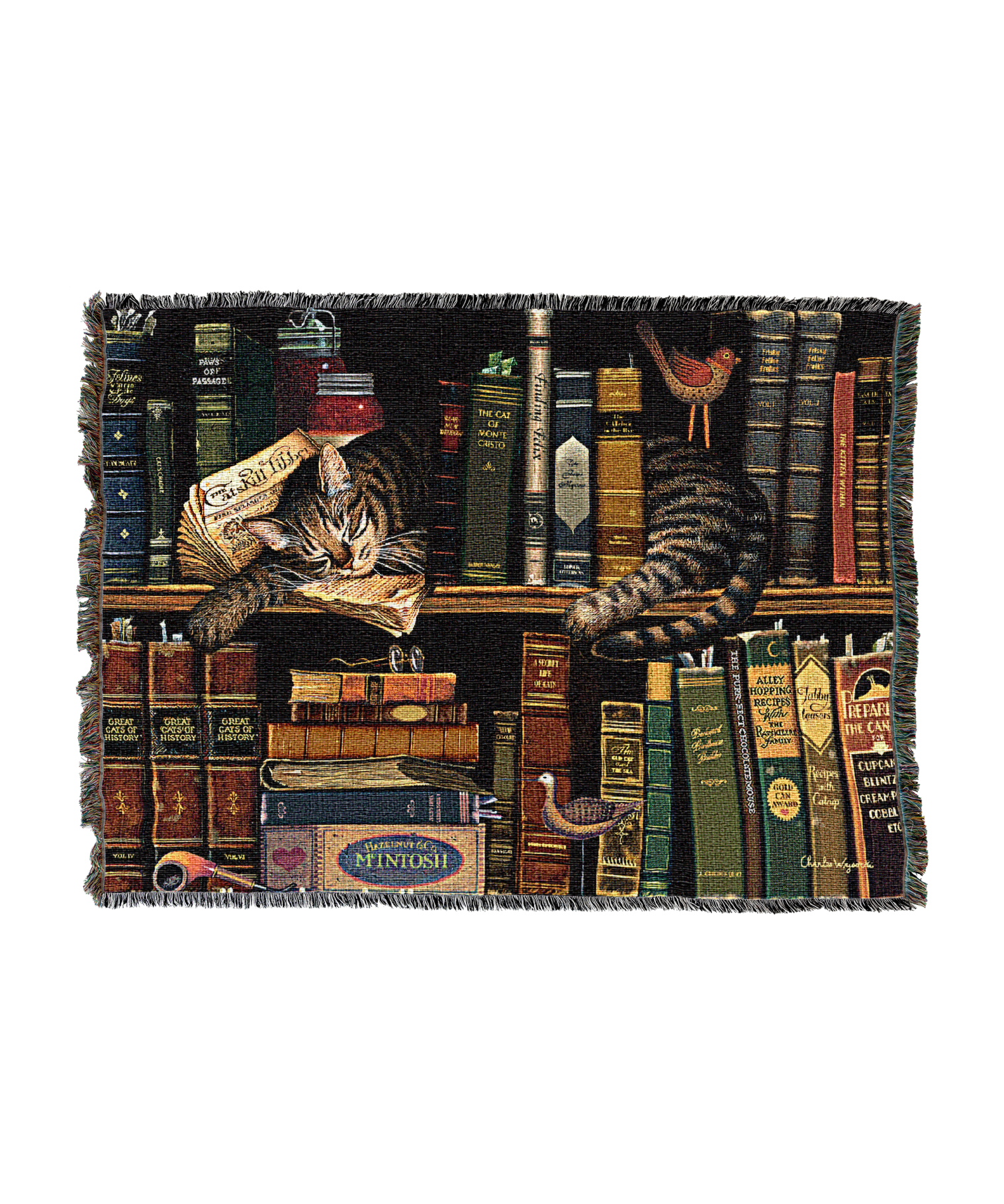 2876-T_1f7c28e3-7854-4327-a3e6-92051d1906c1.png