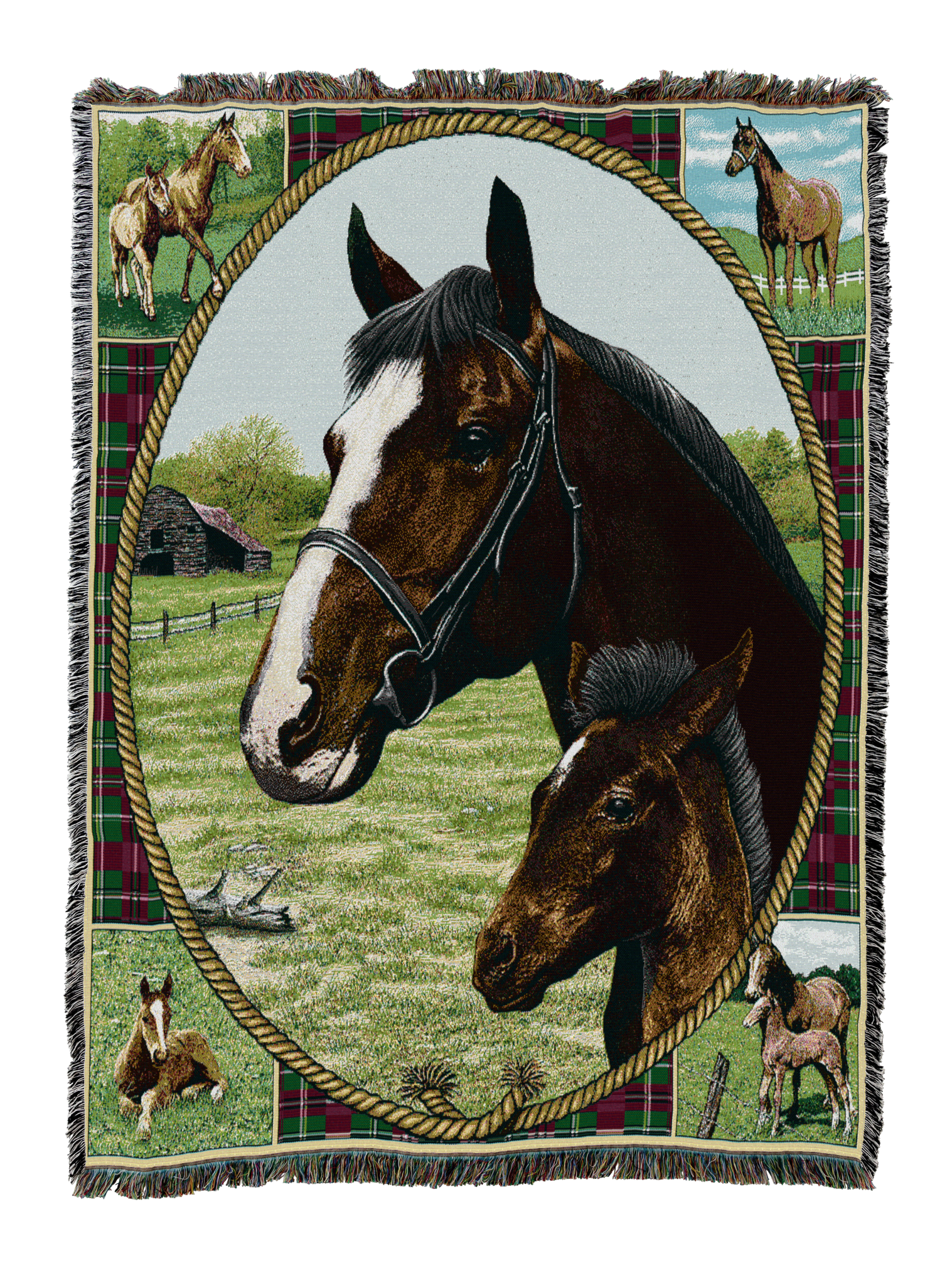 Thoroughbred Mare And Foal Blanket