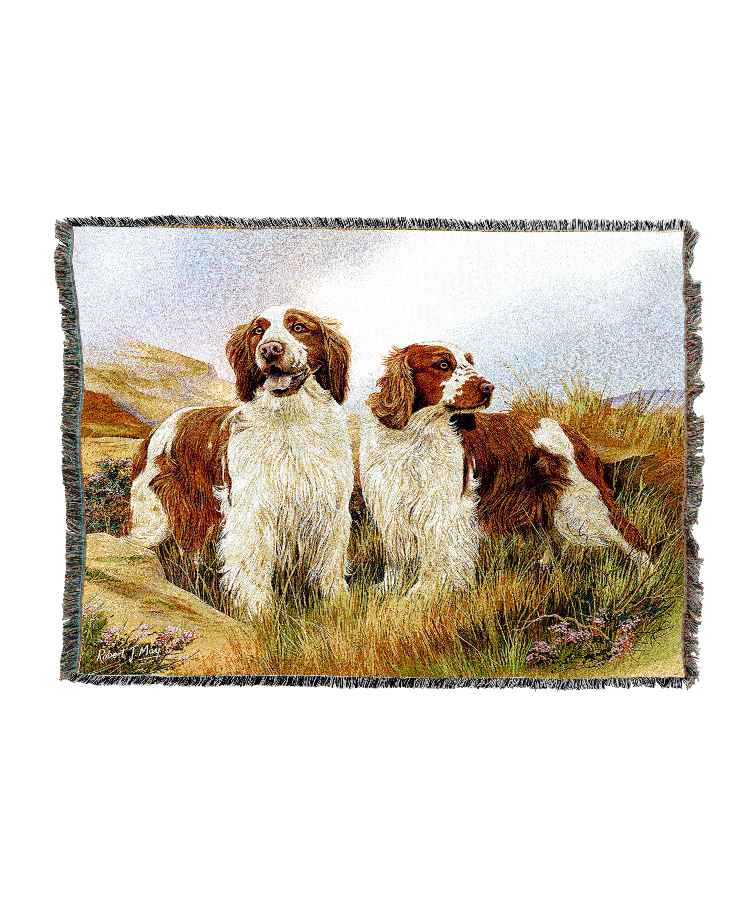 Welsh Springer Spaniel Blanket