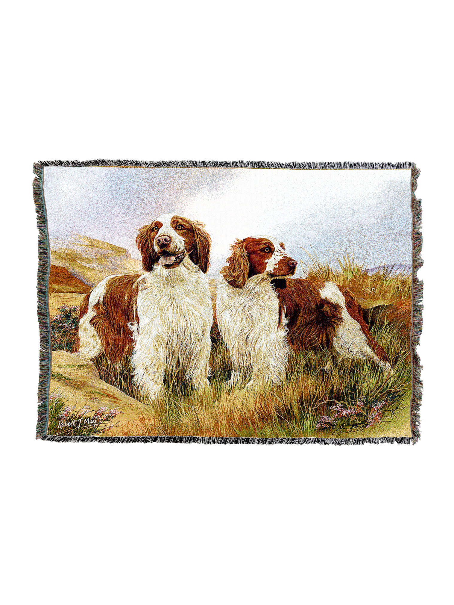 Welsh Springer Spaniel Blanket