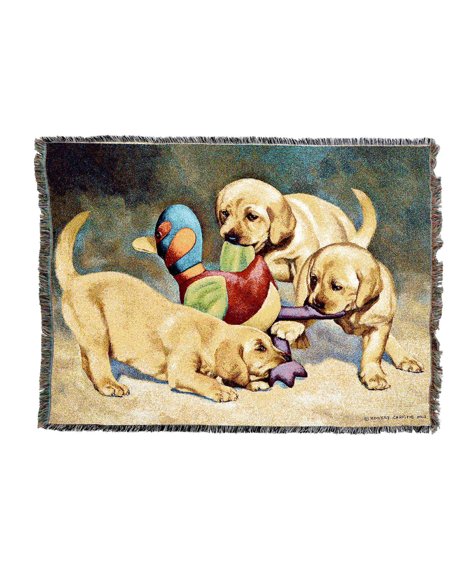 3305-T_6f8cd1cd-4d8e-4fac-ab05-e79d523273b8.png