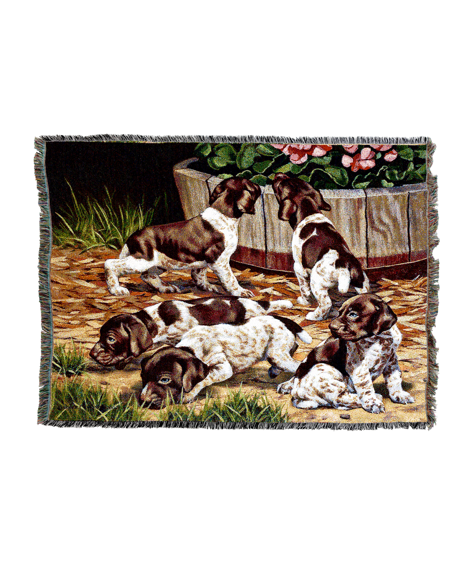 3310-T_ec23ea8a-188f-4f74-98ca-bb4548c11442.png
