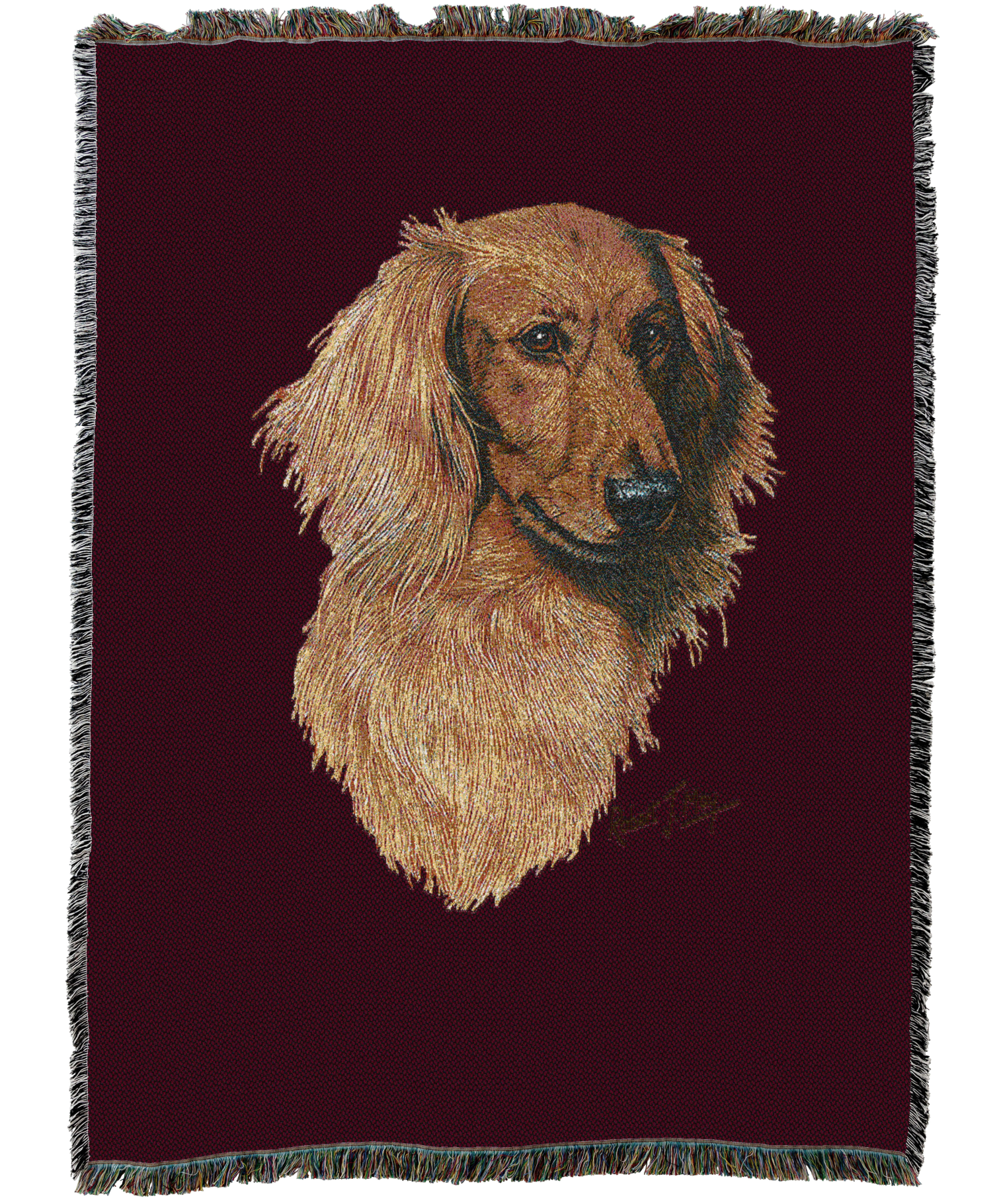 Long-Haired Dachshund Red Blanket