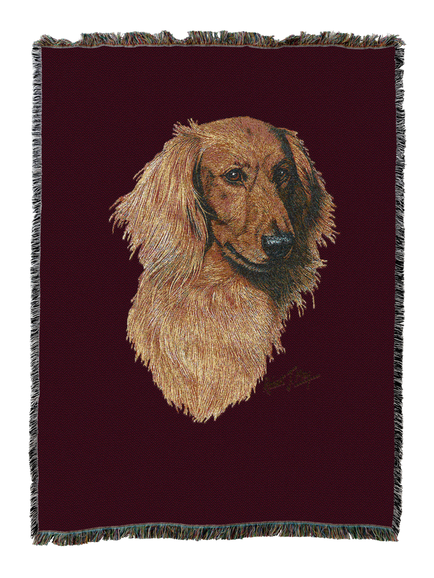 Long-Haired Dachshund Red Blanket