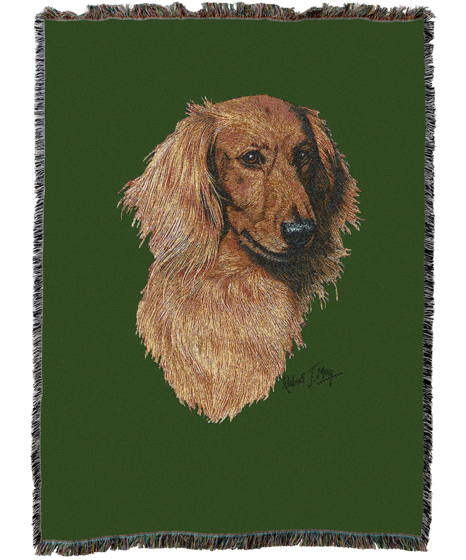Long-Haired Dachshund Red Blanket