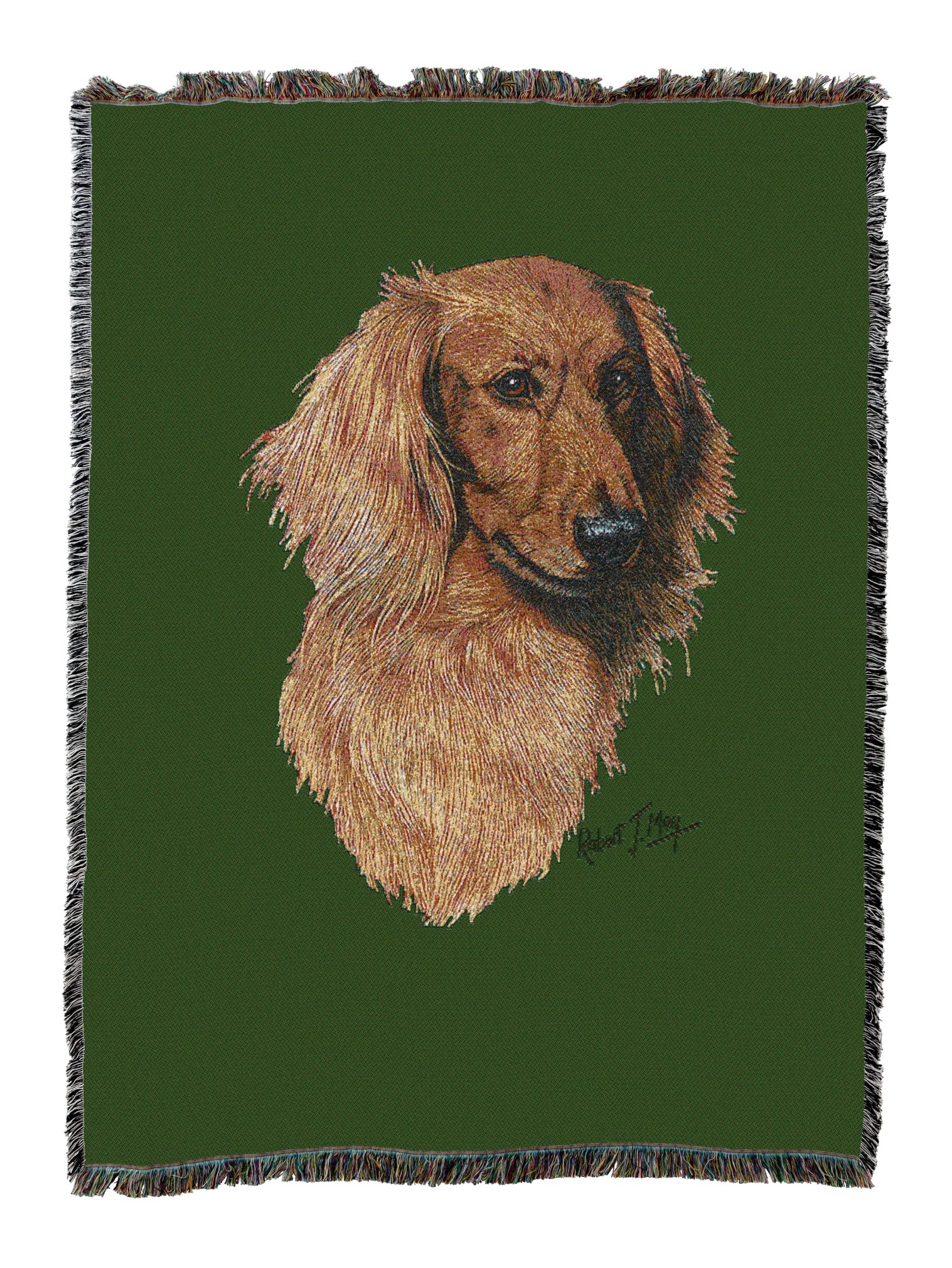 Long-Haired Dachshund Red Blanket