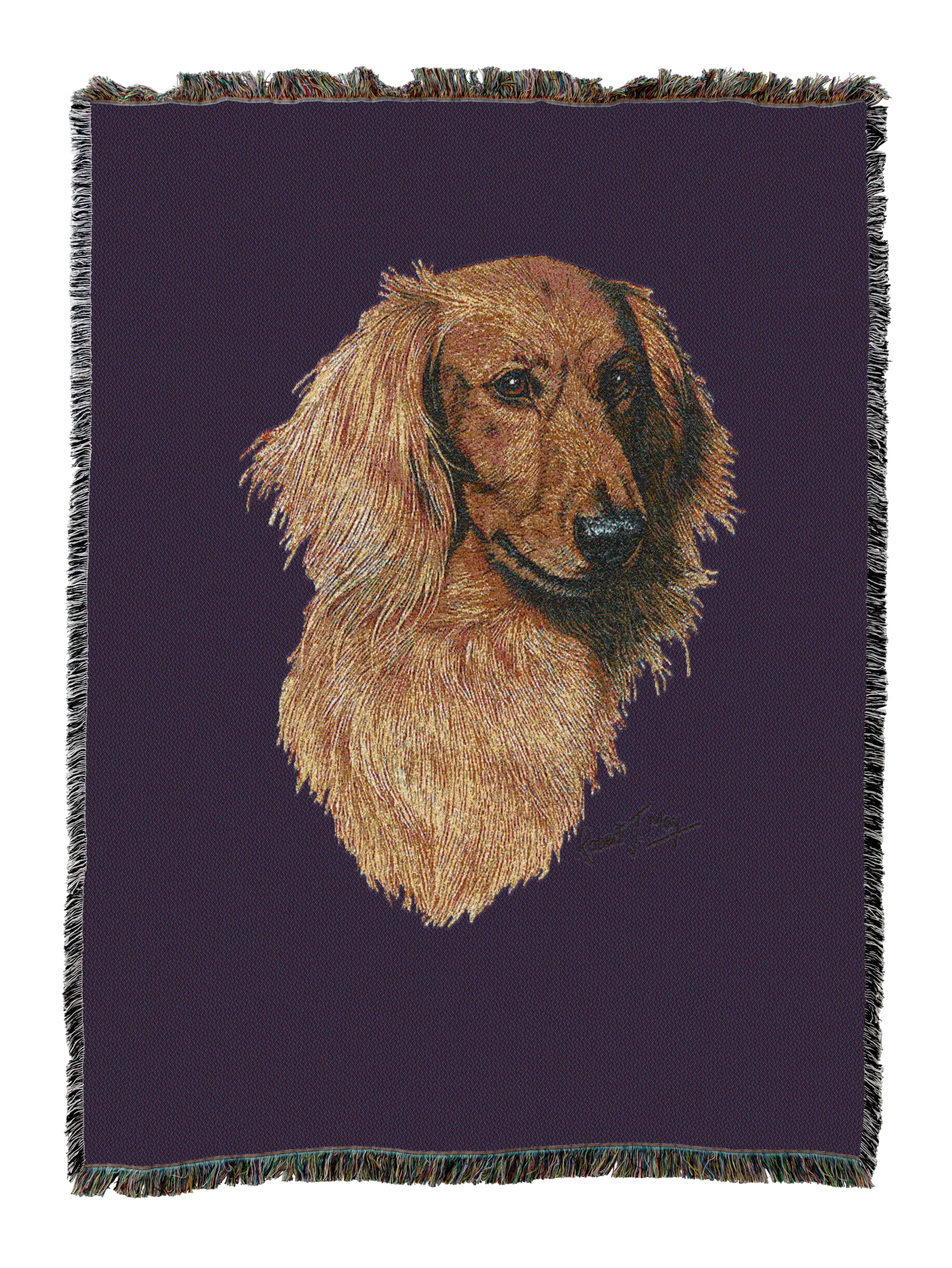 Long-Haired Dachshund Red Blanket