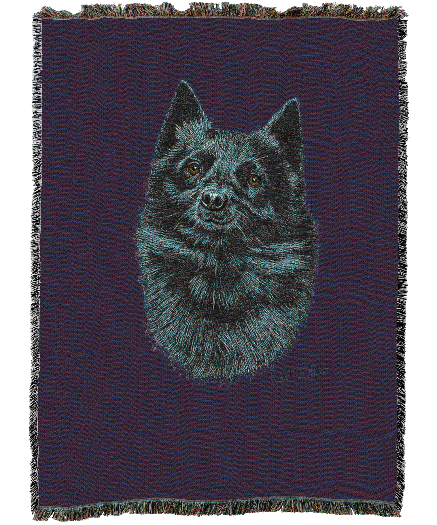 Schipperke Blanket Purple