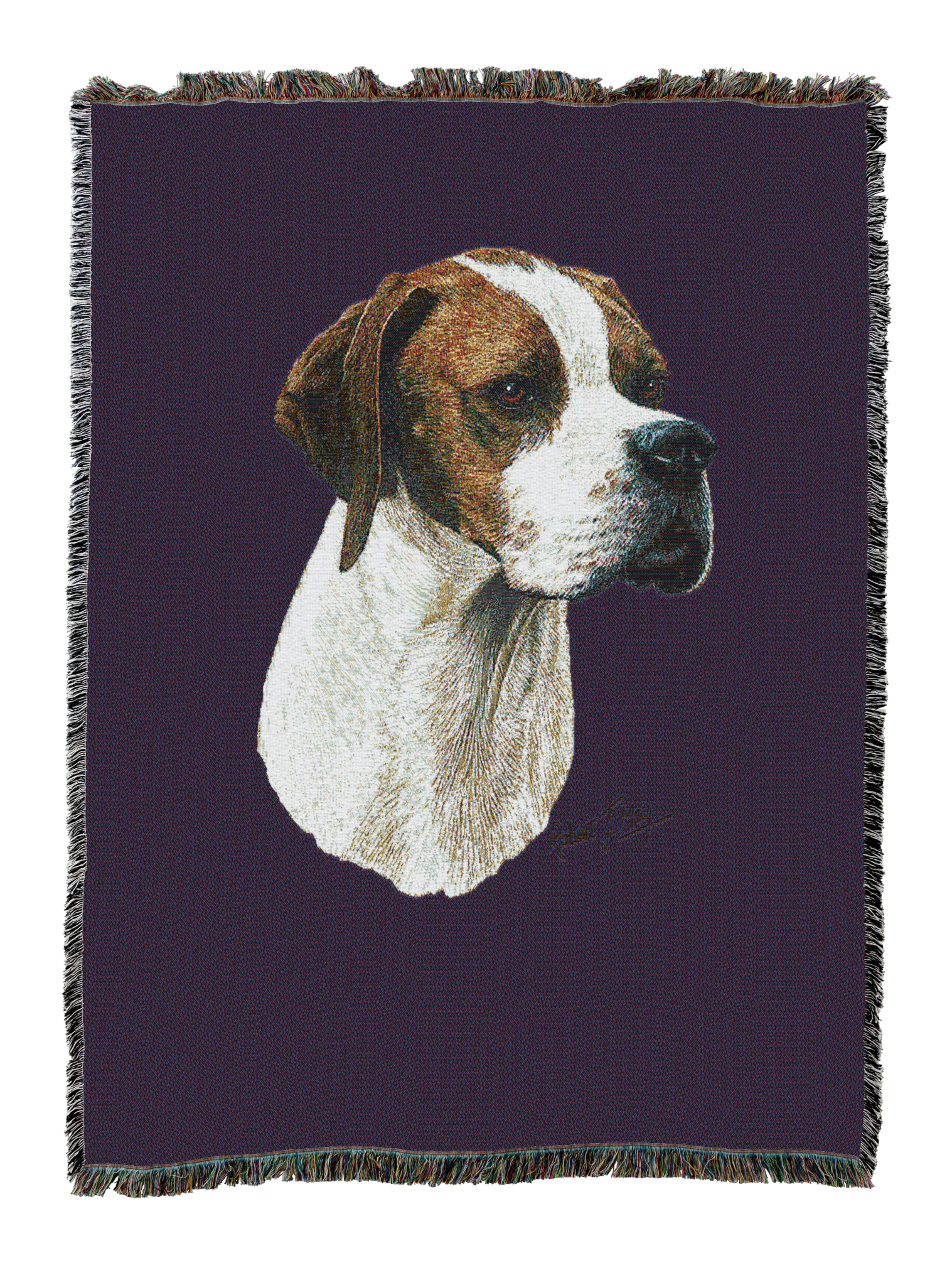 Pointer Blanket