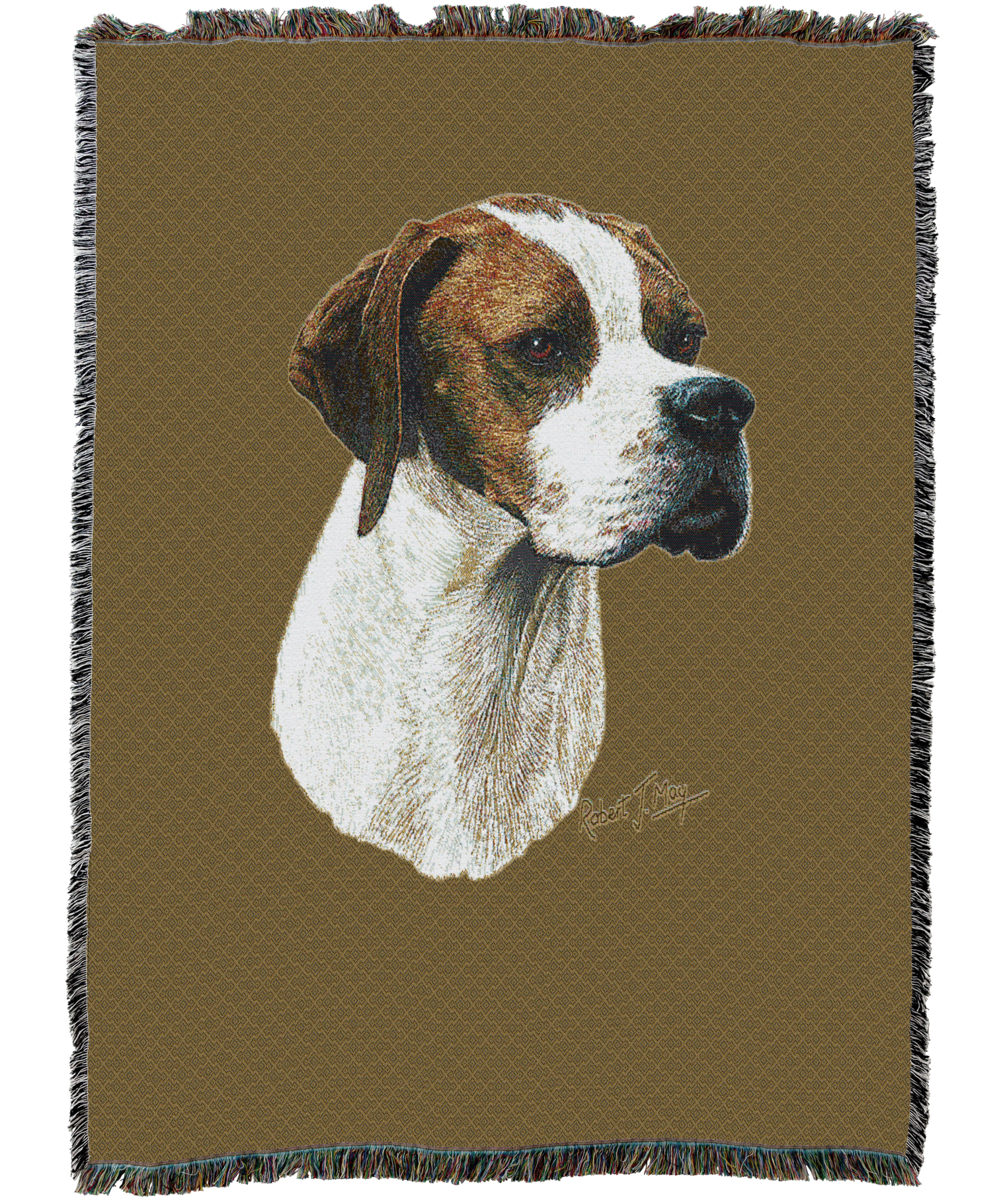 Pointer Blanket
