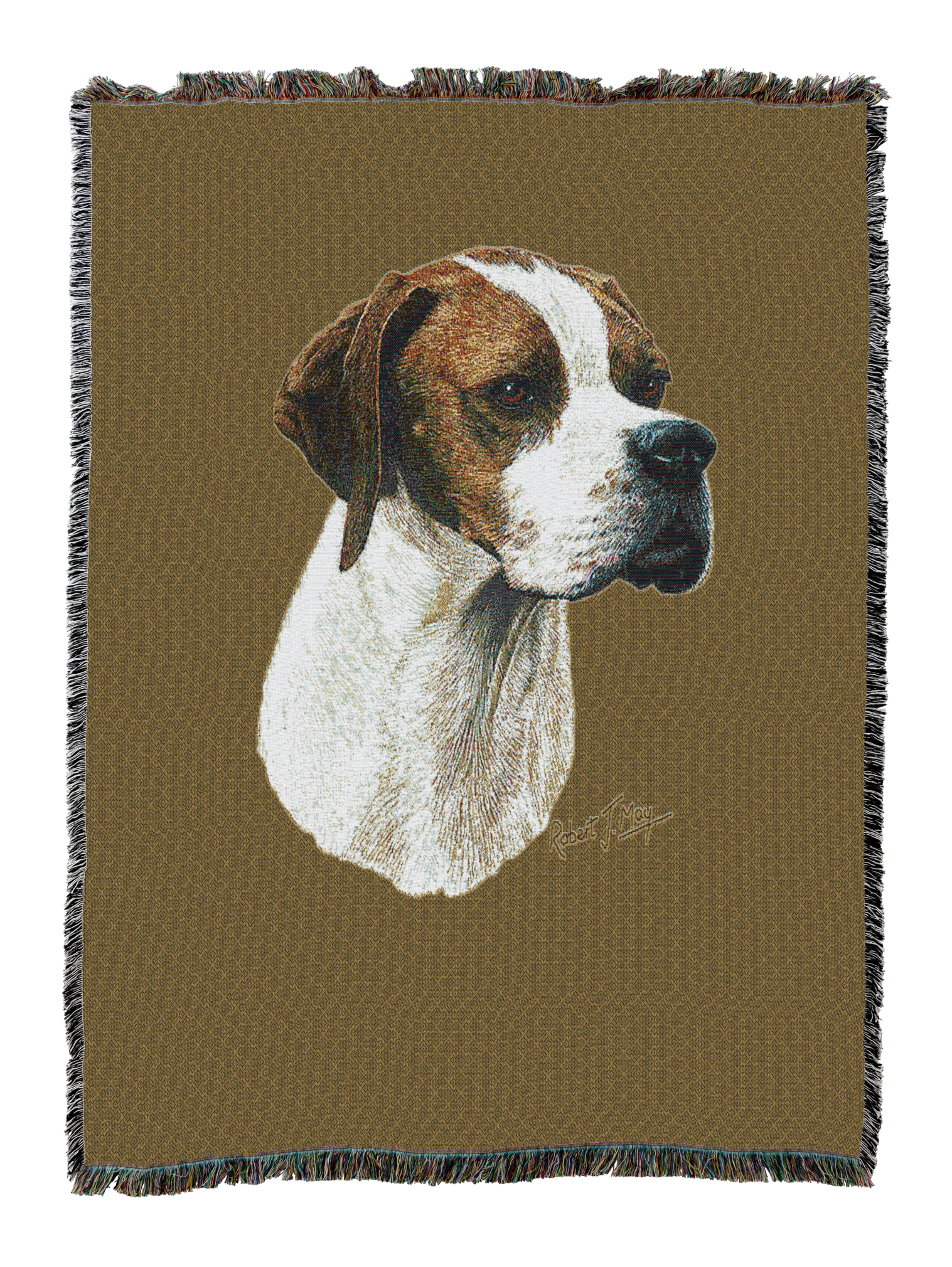 Pointer Blanket