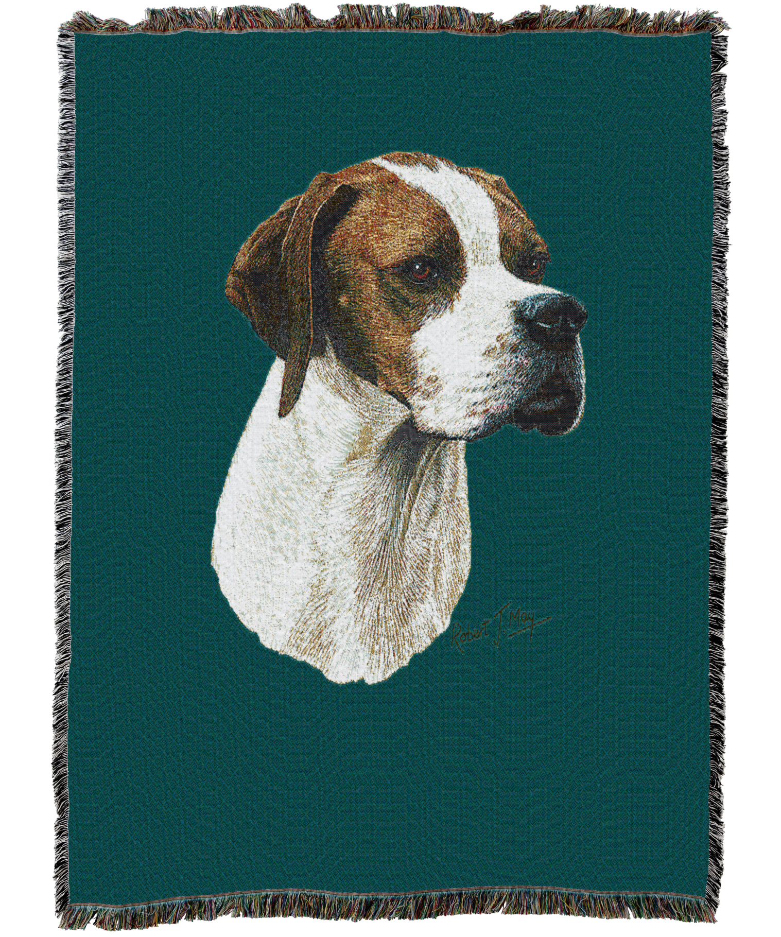 Pointer Blanket