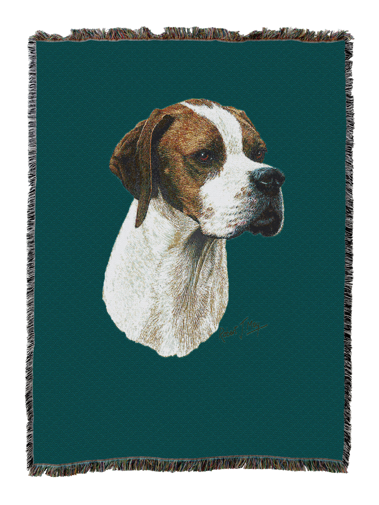 Pointer Blanket