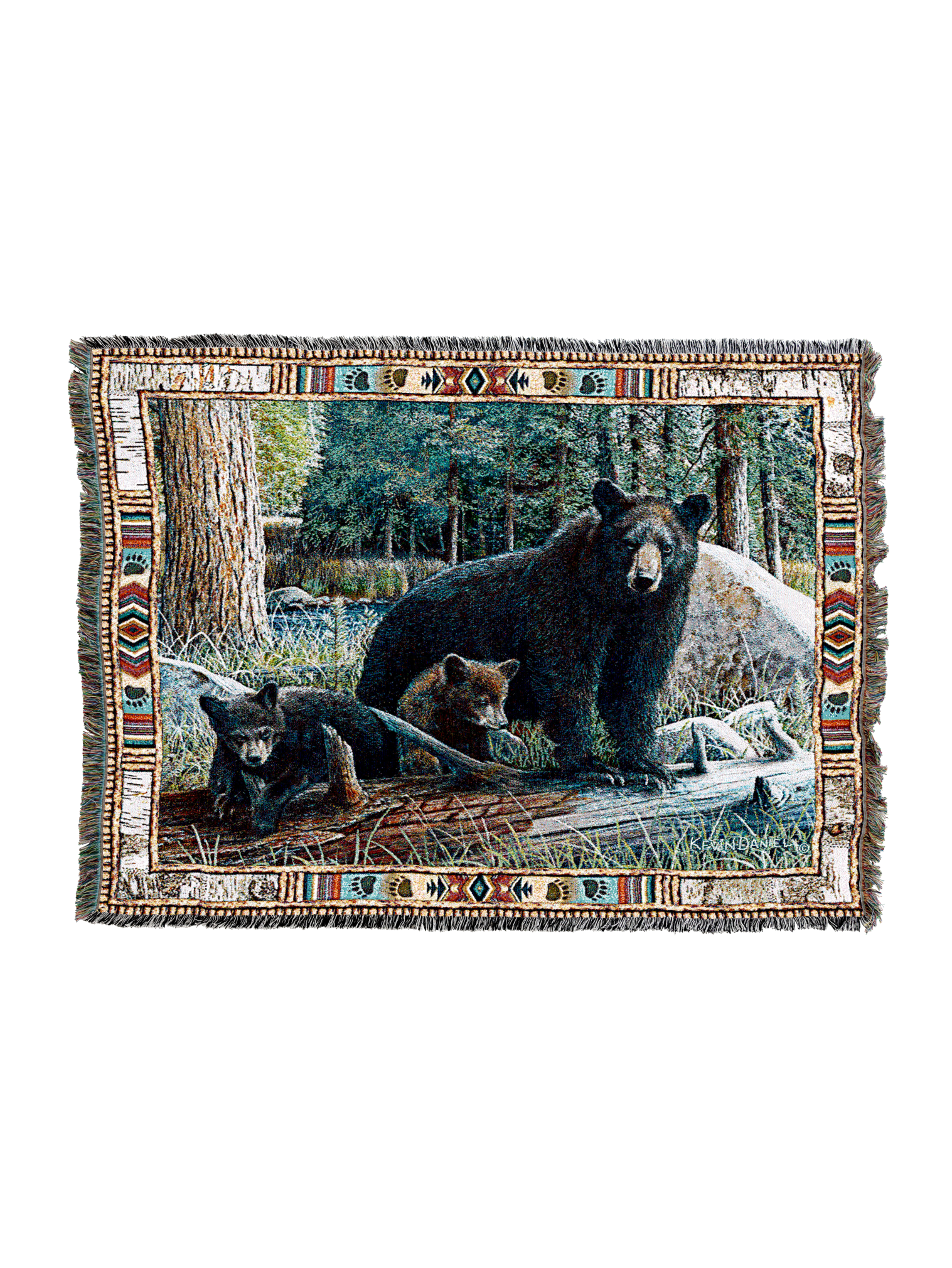 New Discoveries Blanket