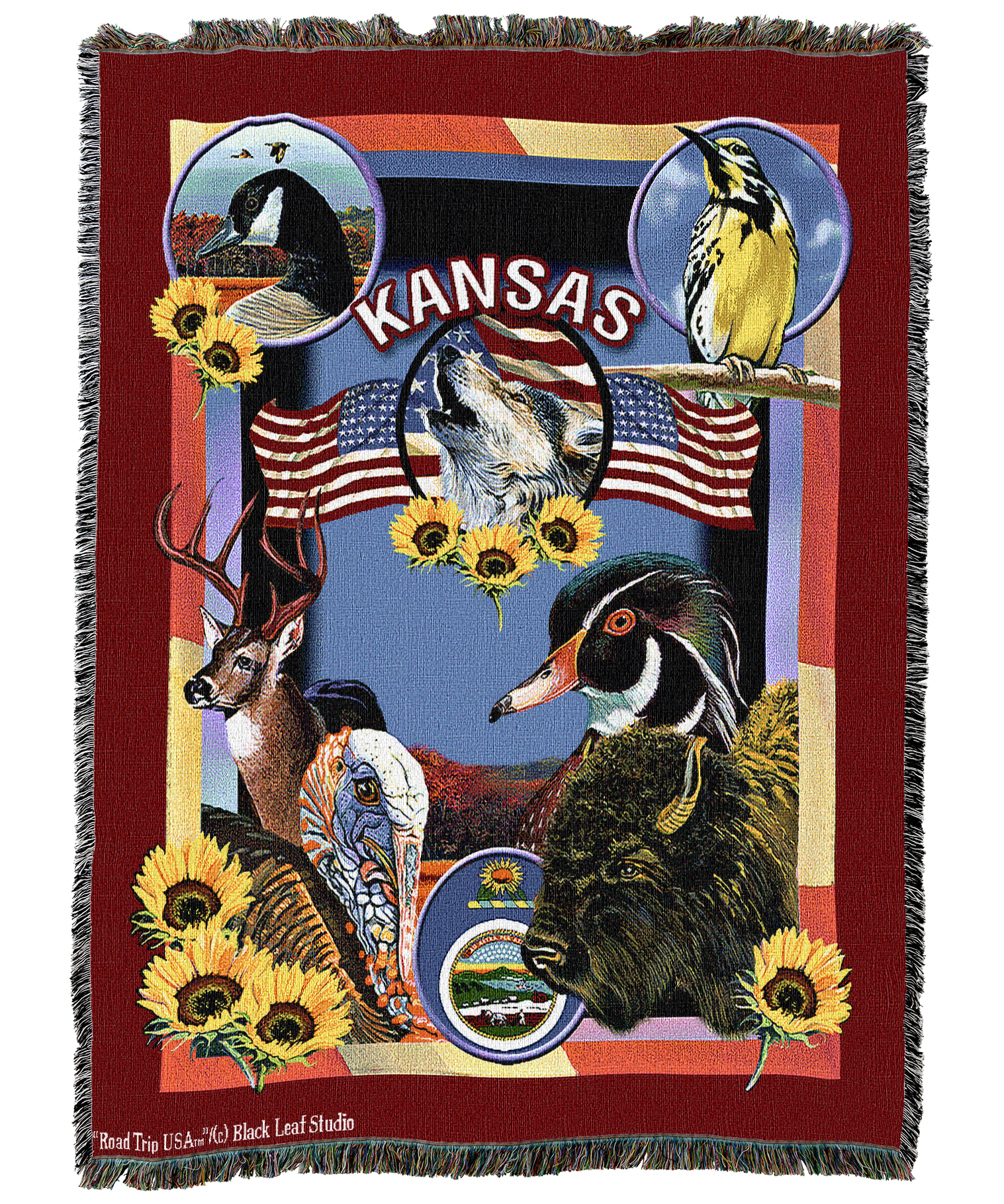 State Of Kansas Blanket