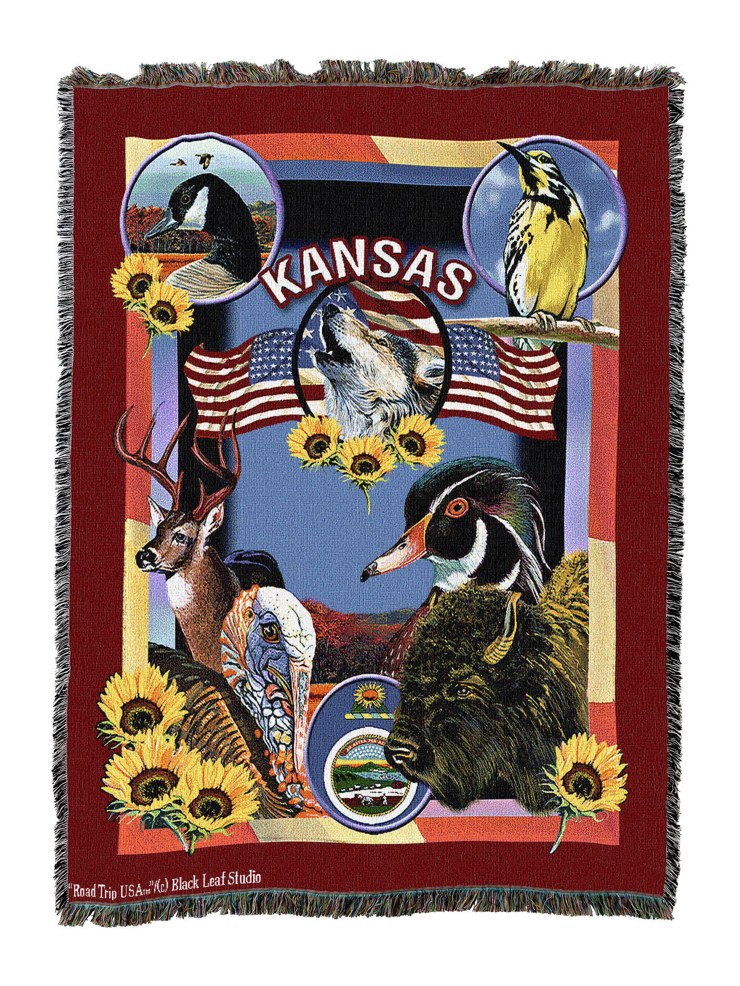State Of Kansas Blanket