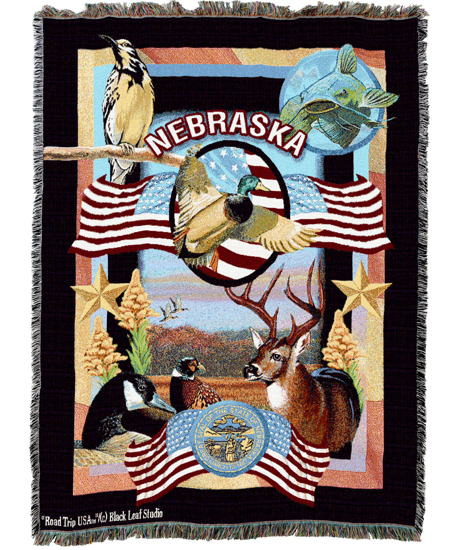 State Of Nebraska Blanket
