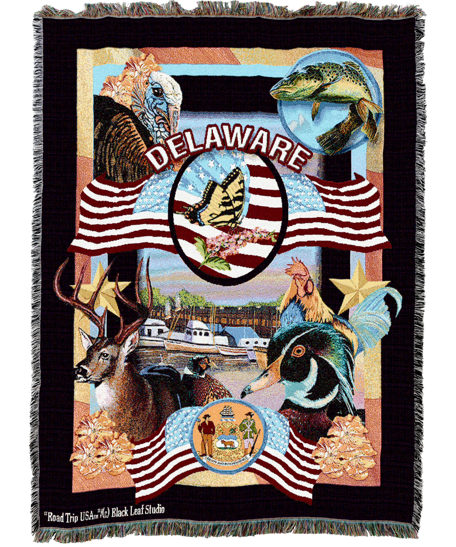 State Of Delaware Blanket
