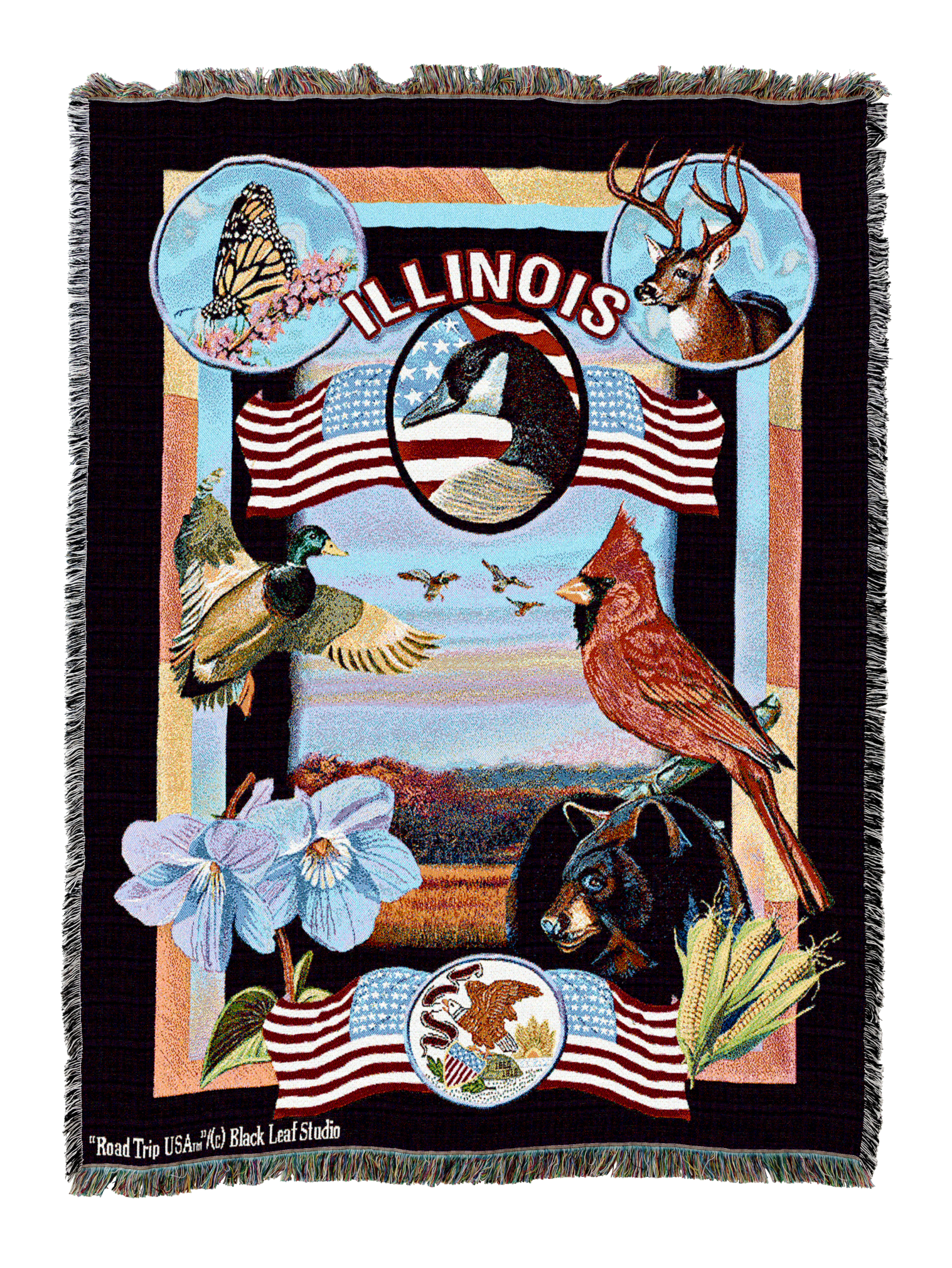 State Of Illinois Blanket