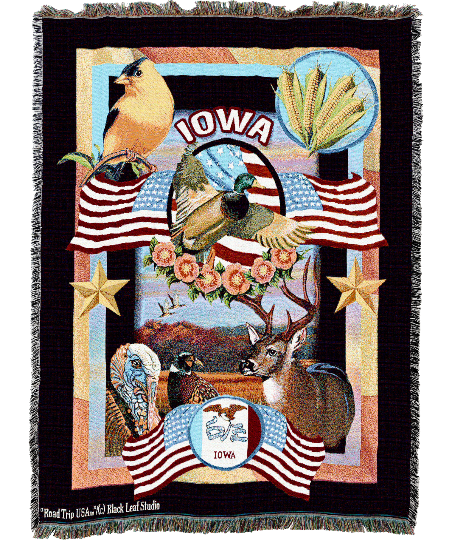 State Of Iowa Blanket