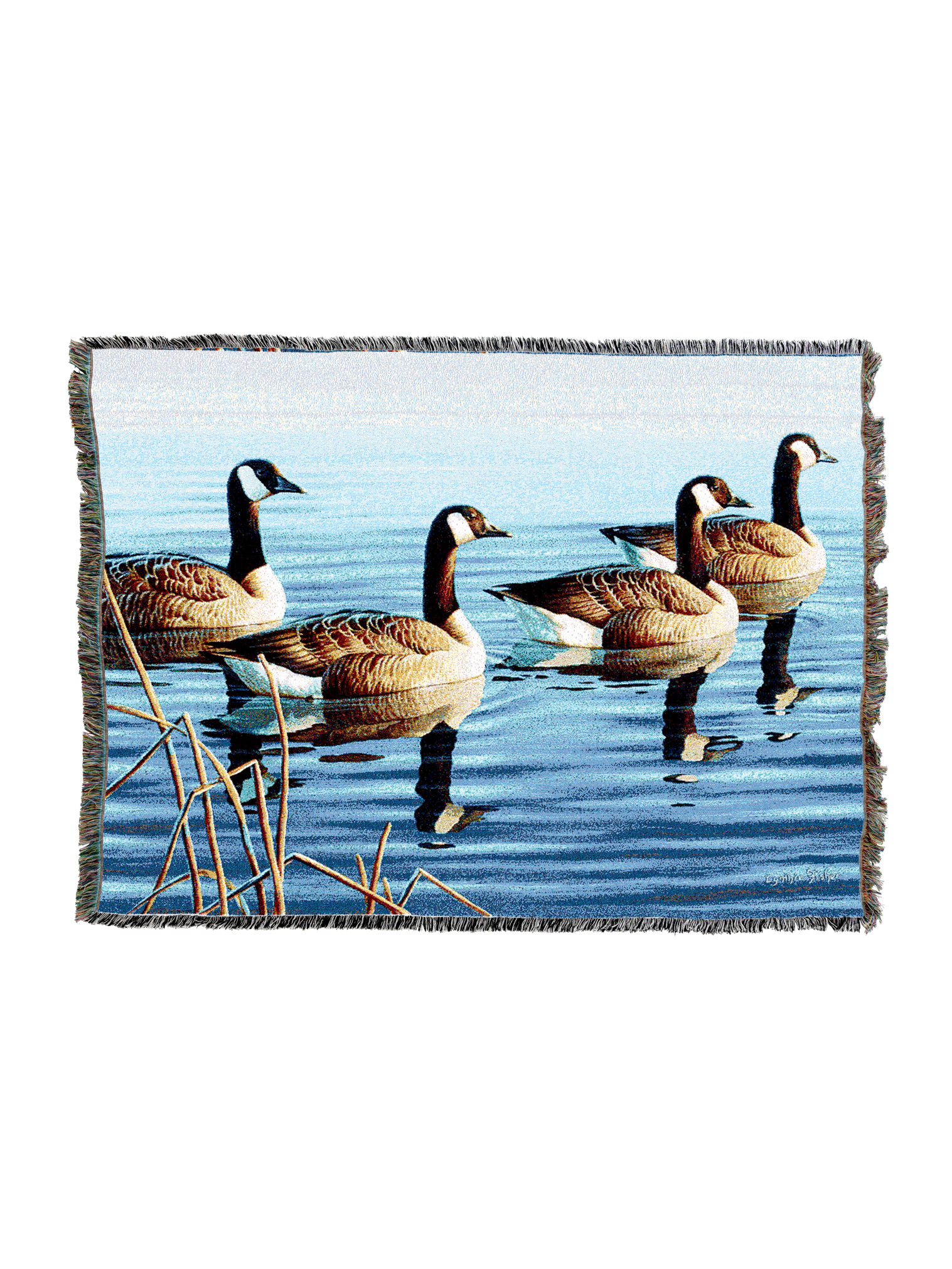 Afternoon Procession Blanket