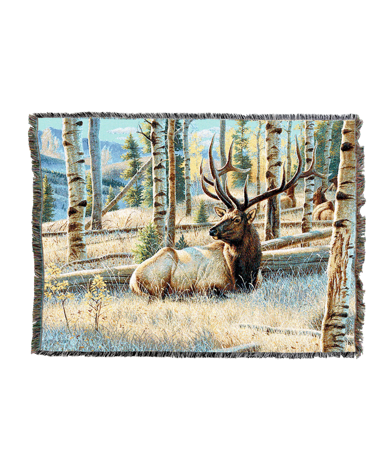 4720-T_af0e0130-f299-4bf1-9185-8be85d588acd.png