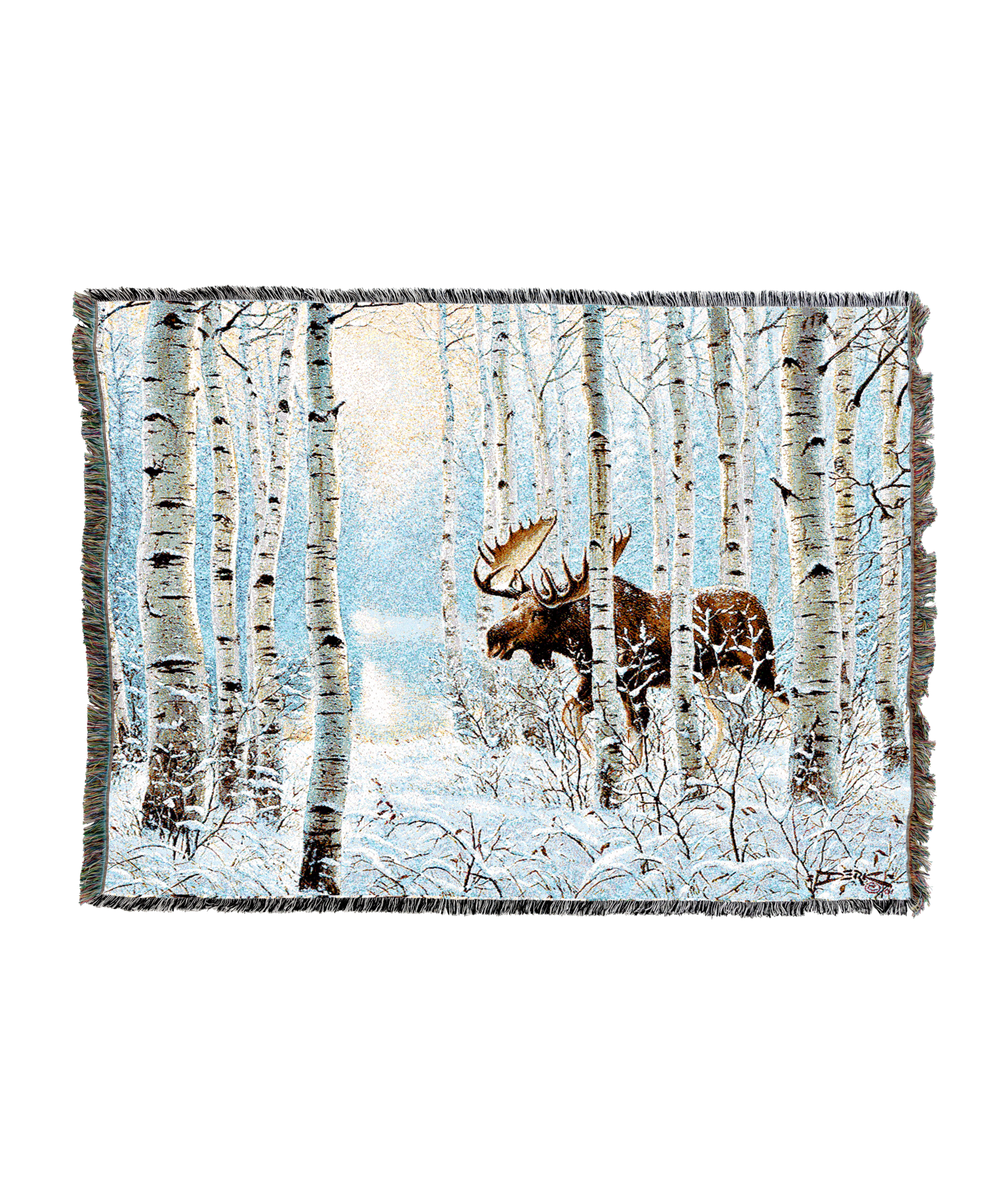 On The Move Blanket