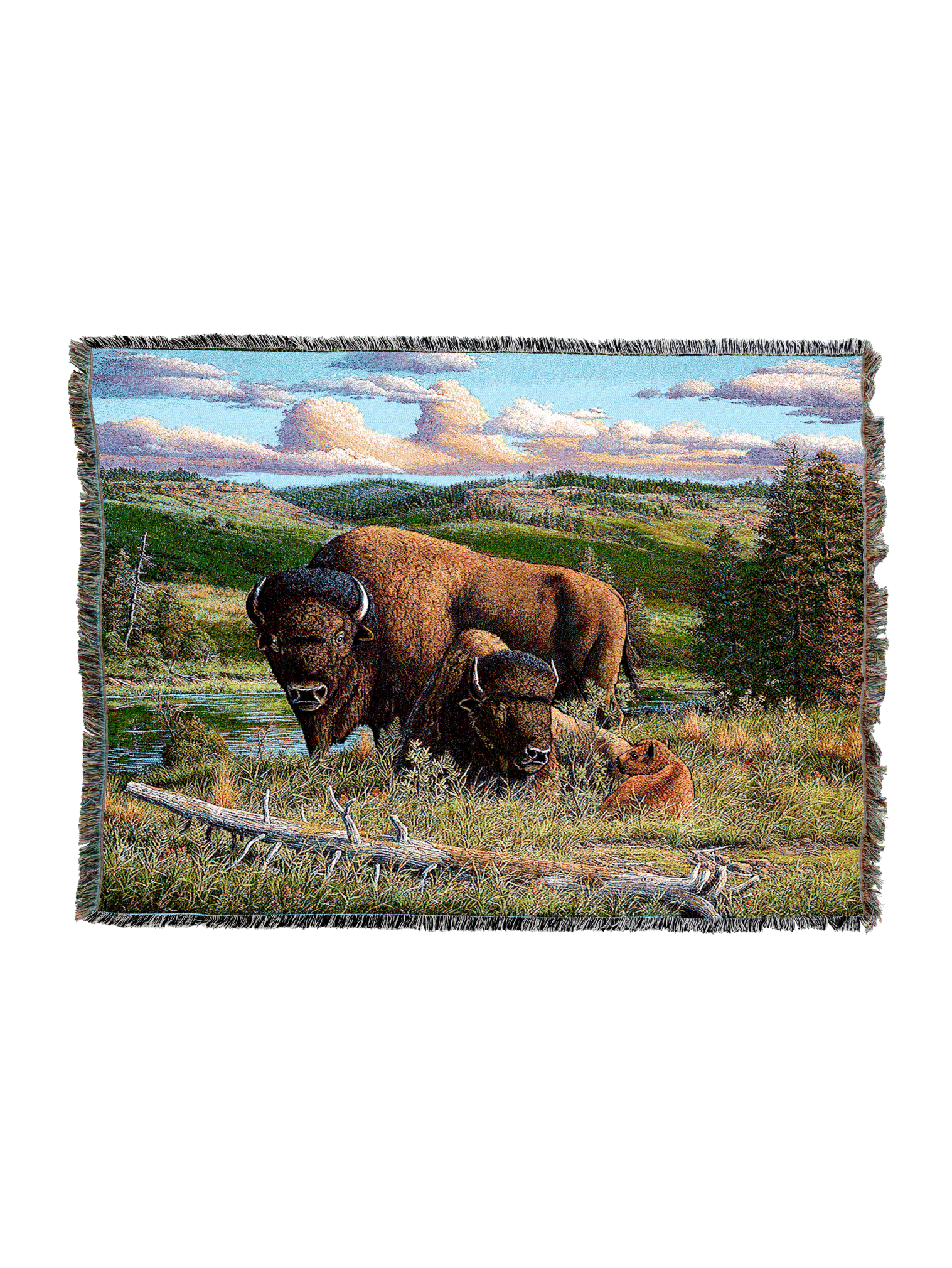 Buffalo Nation Blanket