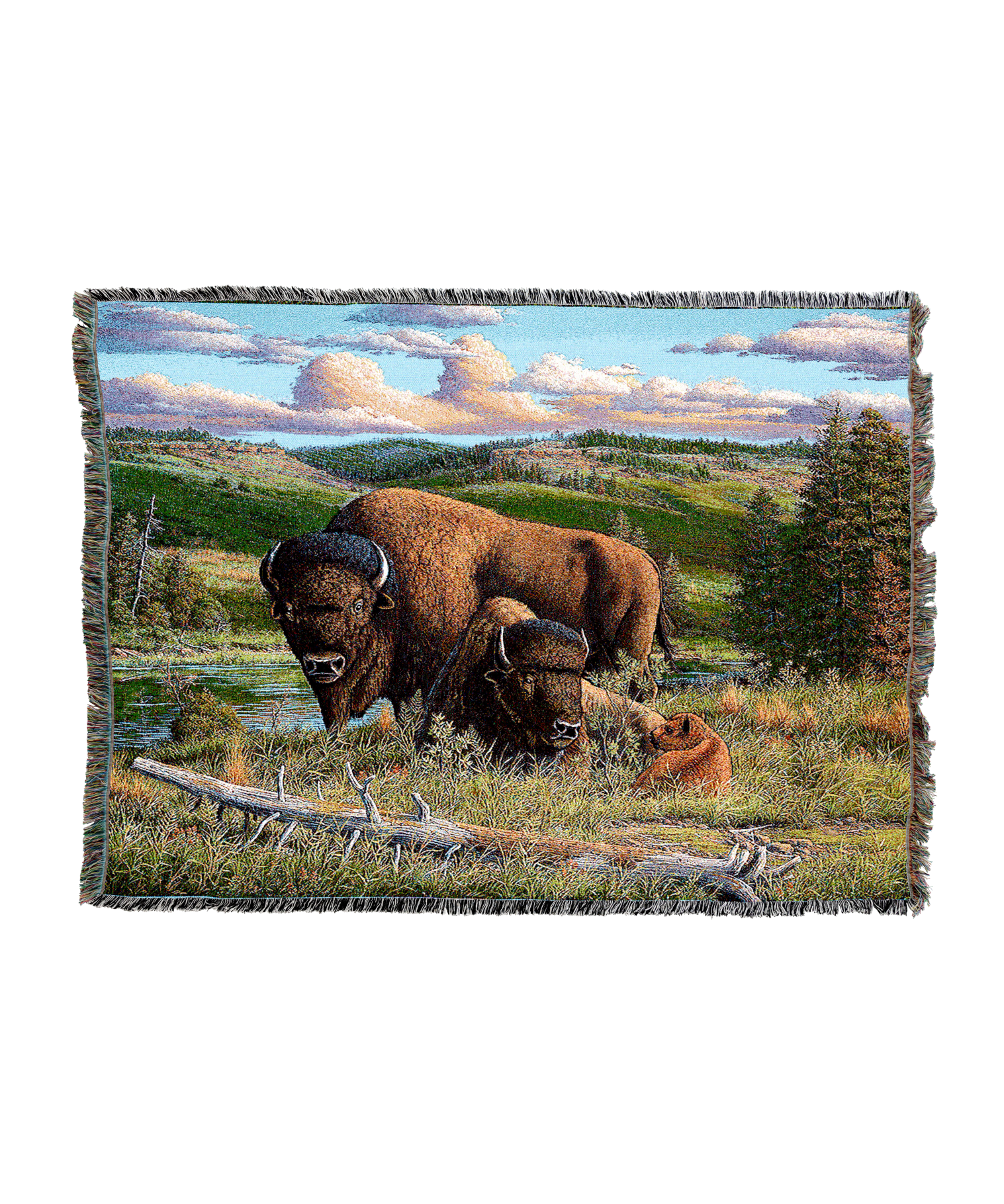 Buffalo Nation Blanket