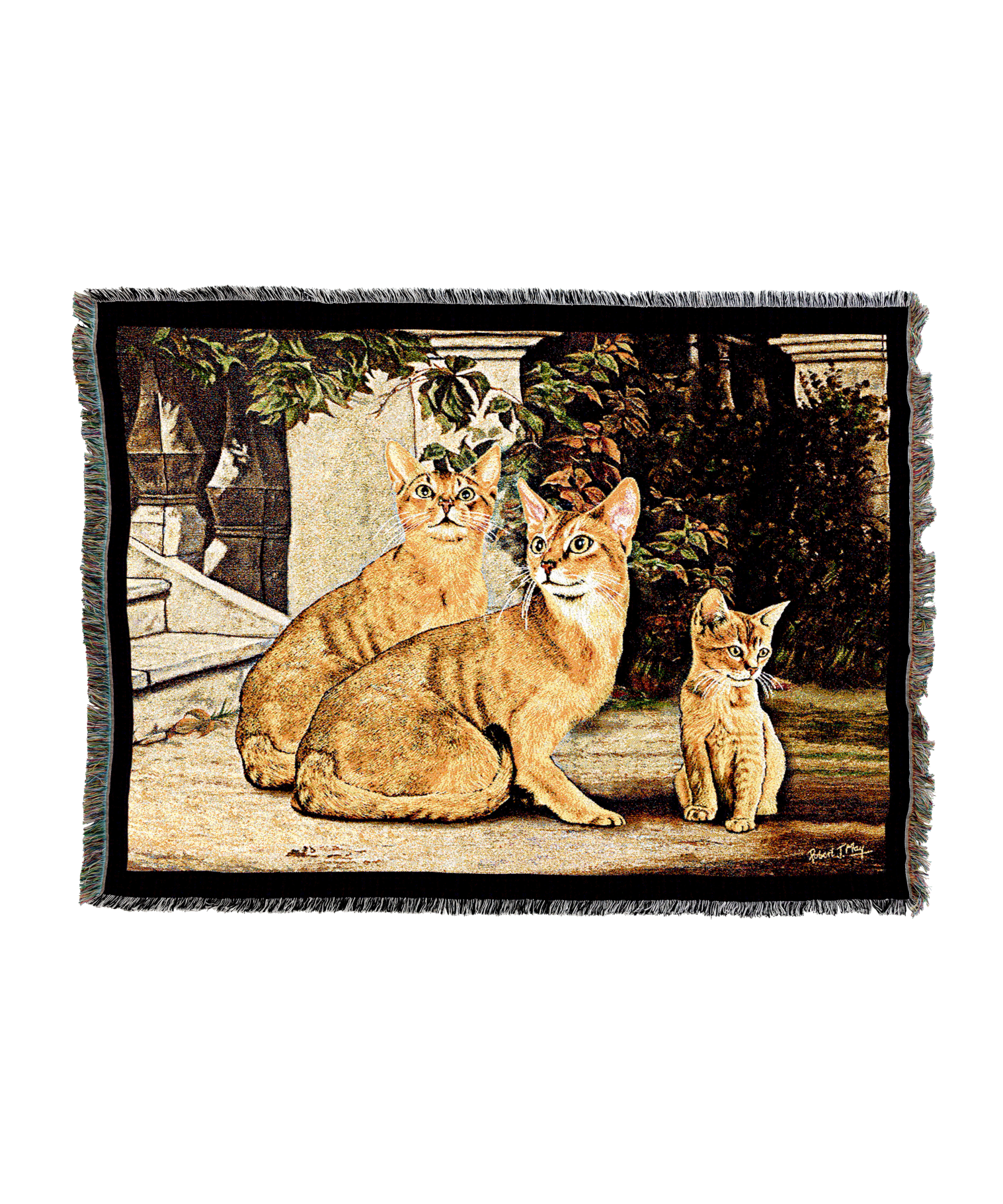 Abysinian Family Blanket