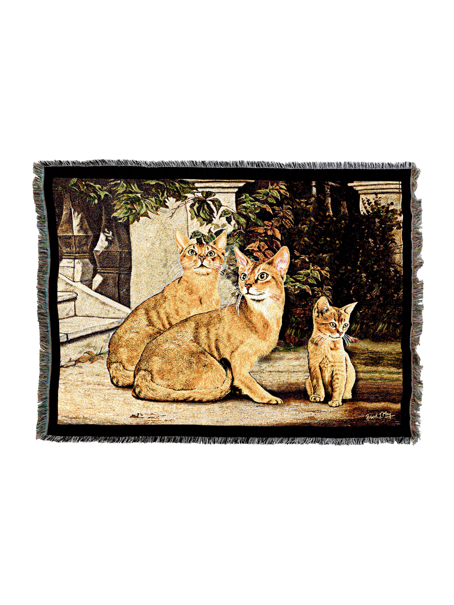 Abysinian Family Blanket