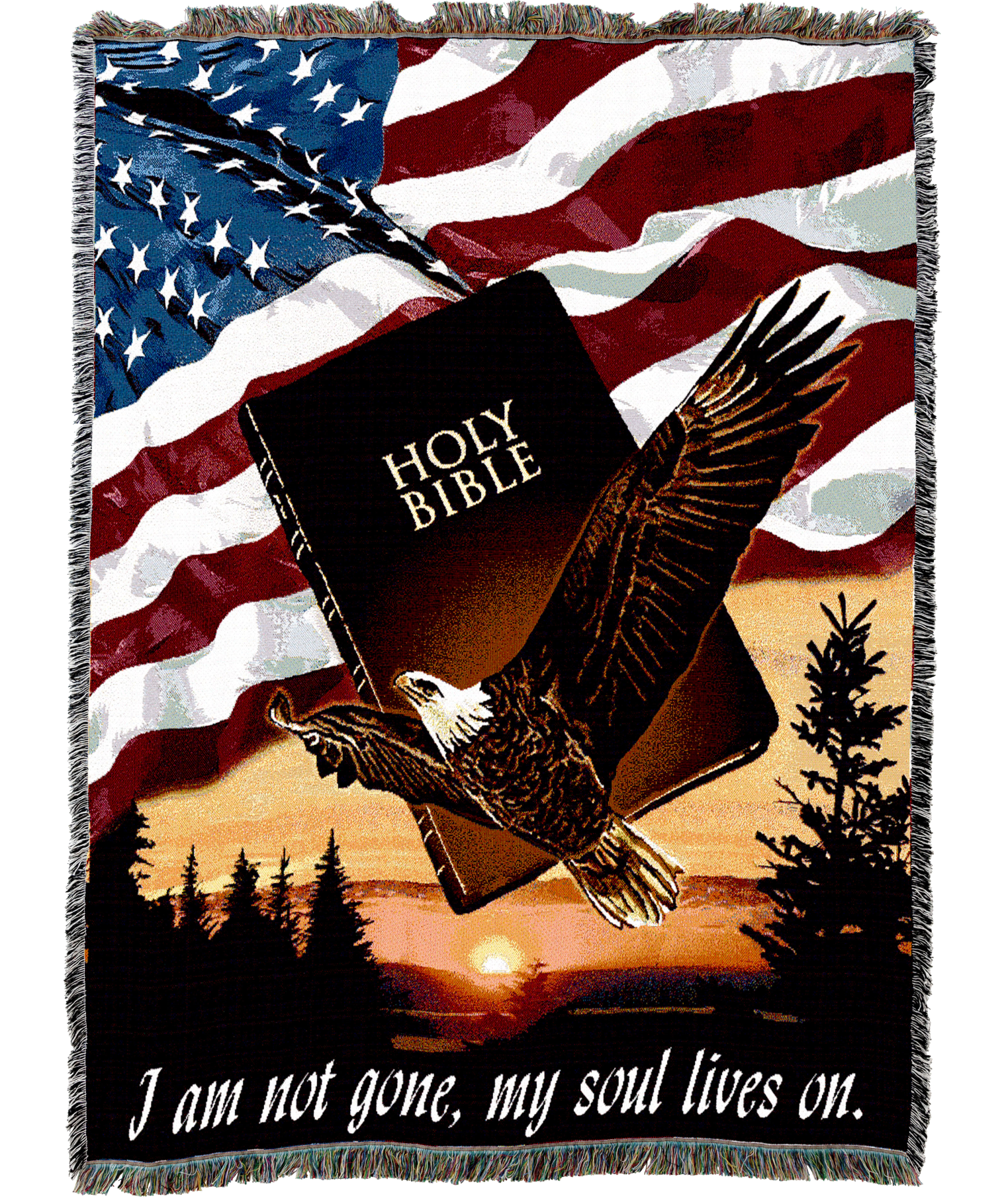 6309-T_07095aa6-2af9-44ee-a6e0-1dc2e34d50f1.png
