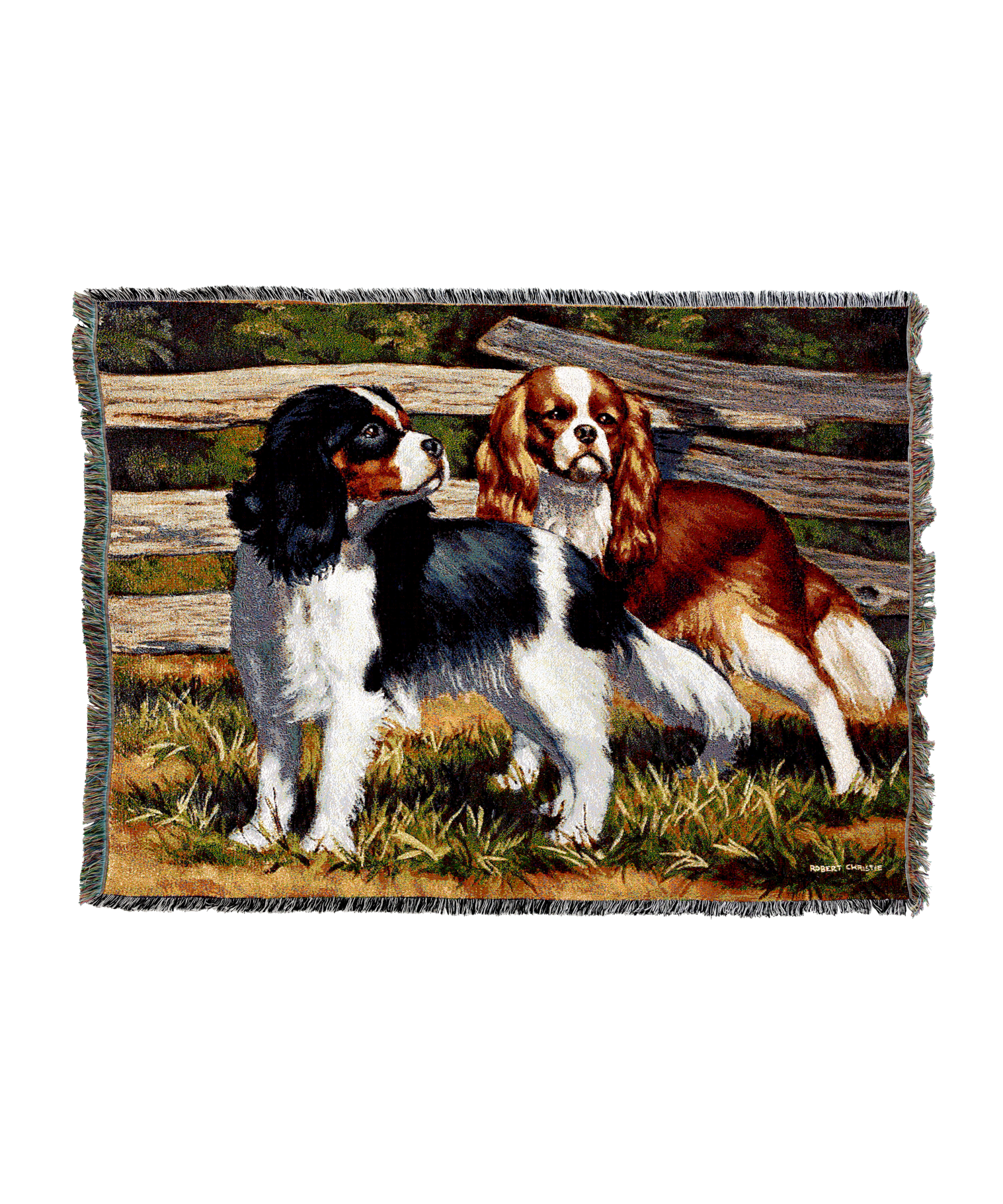 7035-T_161decfe-57c7-48a7-9856-757213c9efe4.png