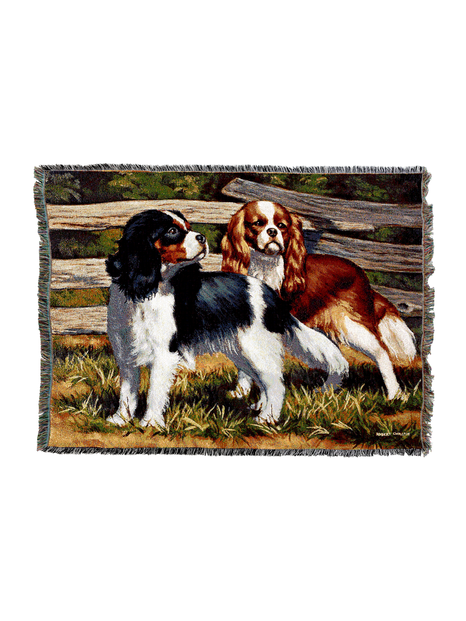 Fence Line Cocker Spaniel Blanket