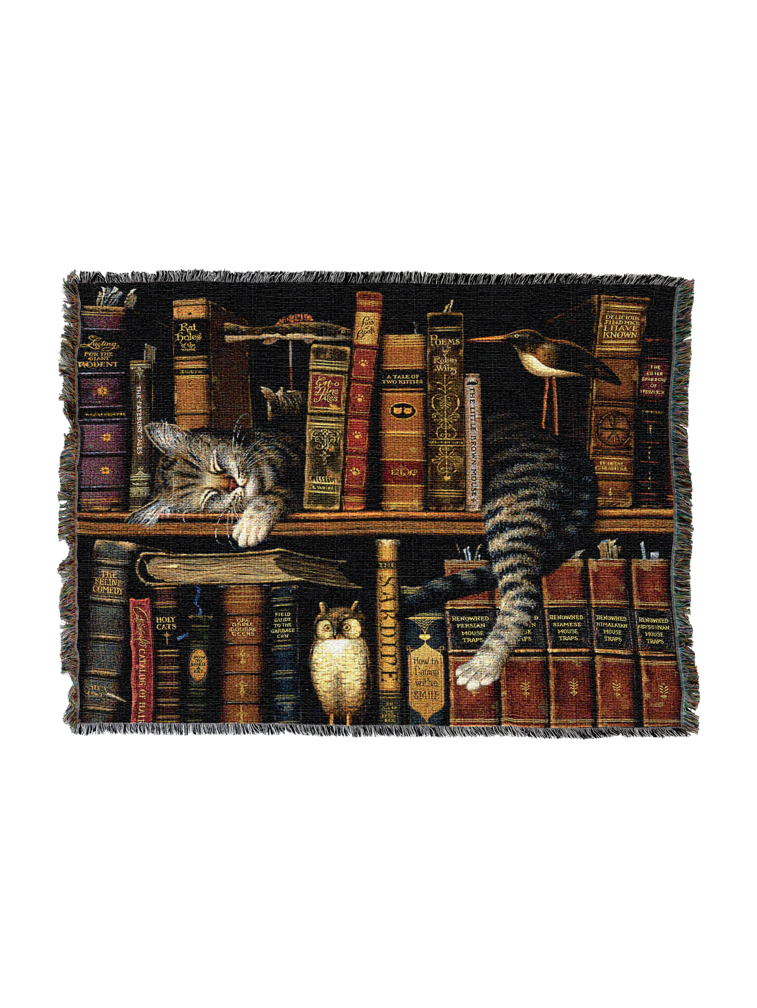 Frederick The Literate Blanket