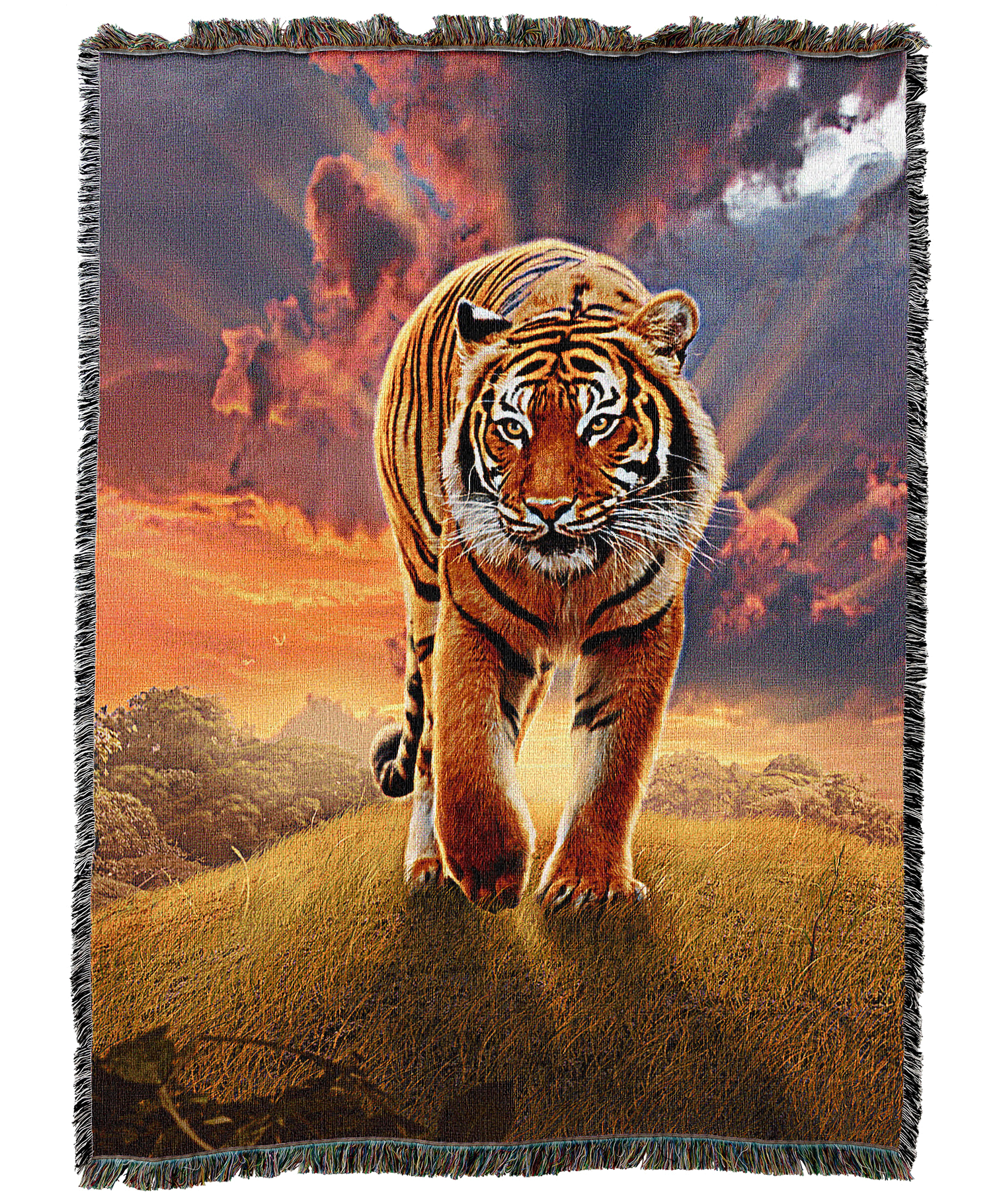 Rising Tiger Blanket