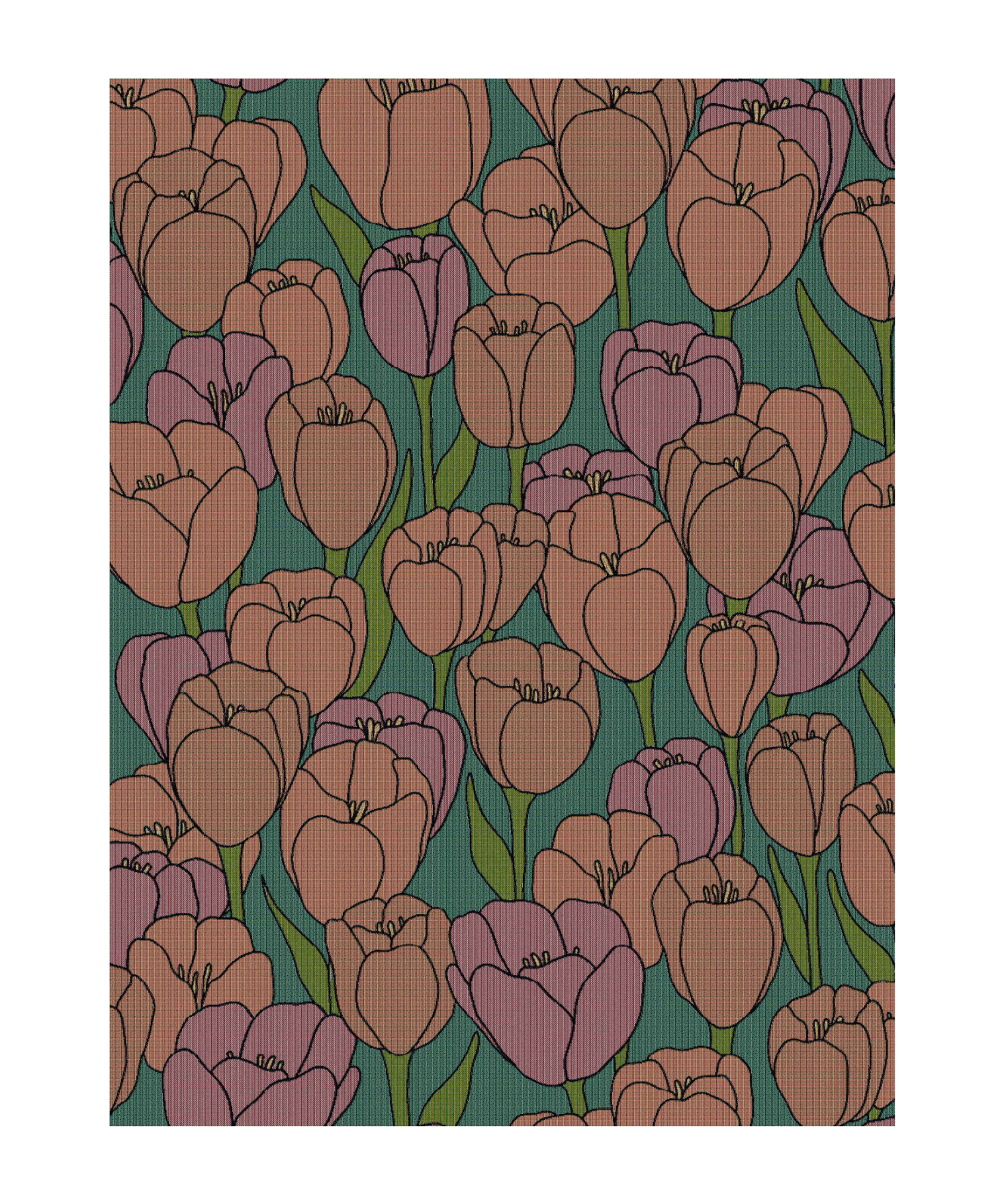 K5086-T.png